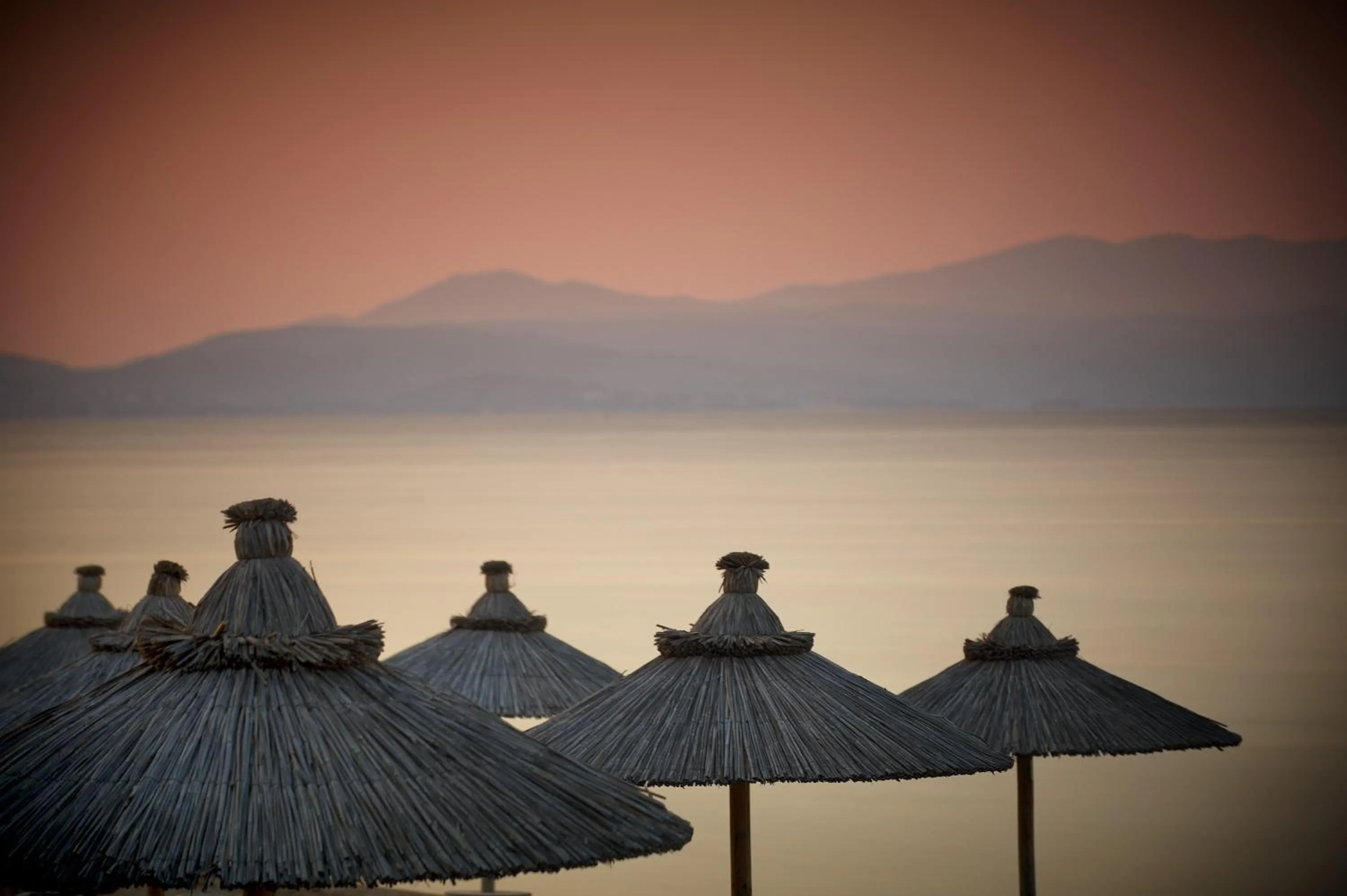 Natural landscape in Blue Dolphin Hotel