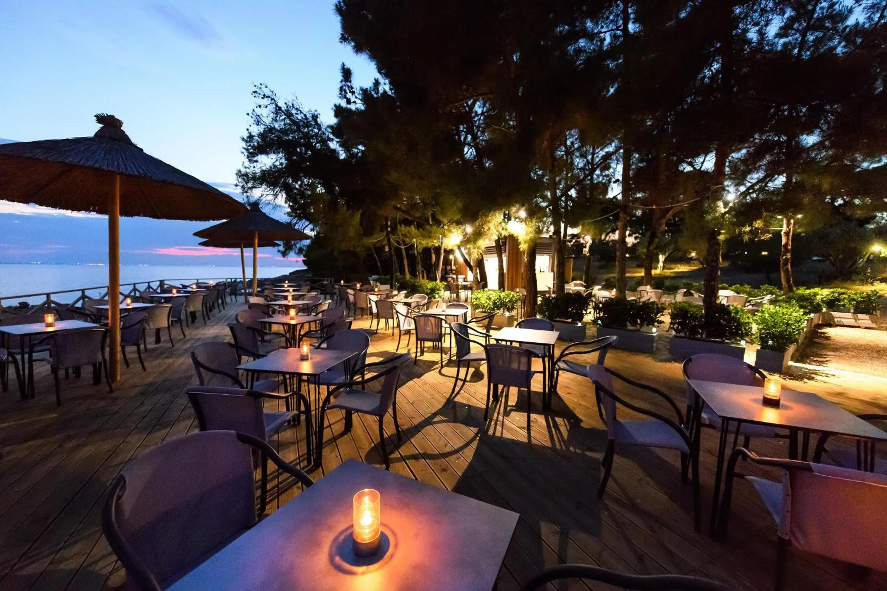 Restaurant/places to eat in Blue Dolphin Hotel