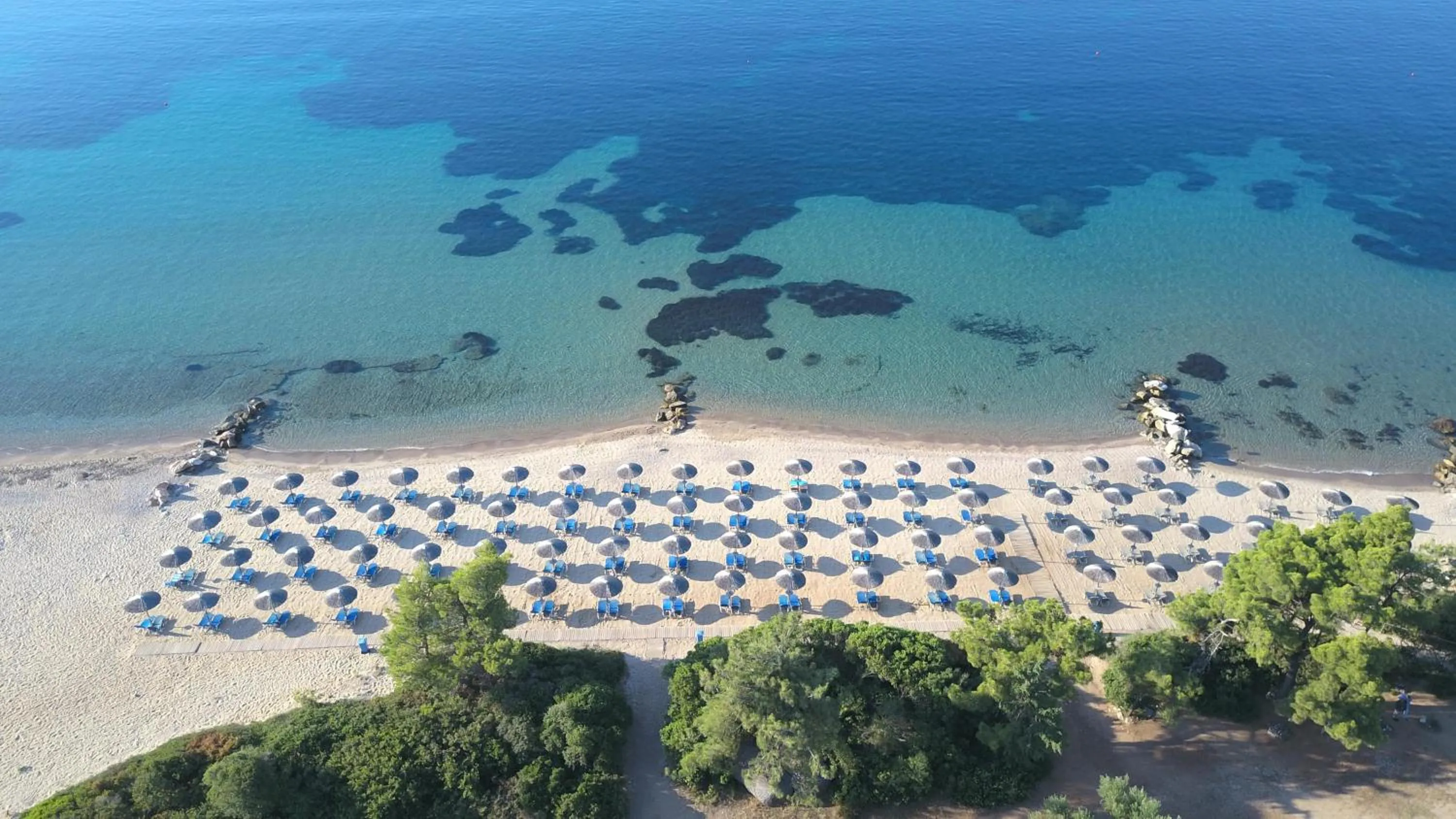 Beach in Blue Dolphin Hotel