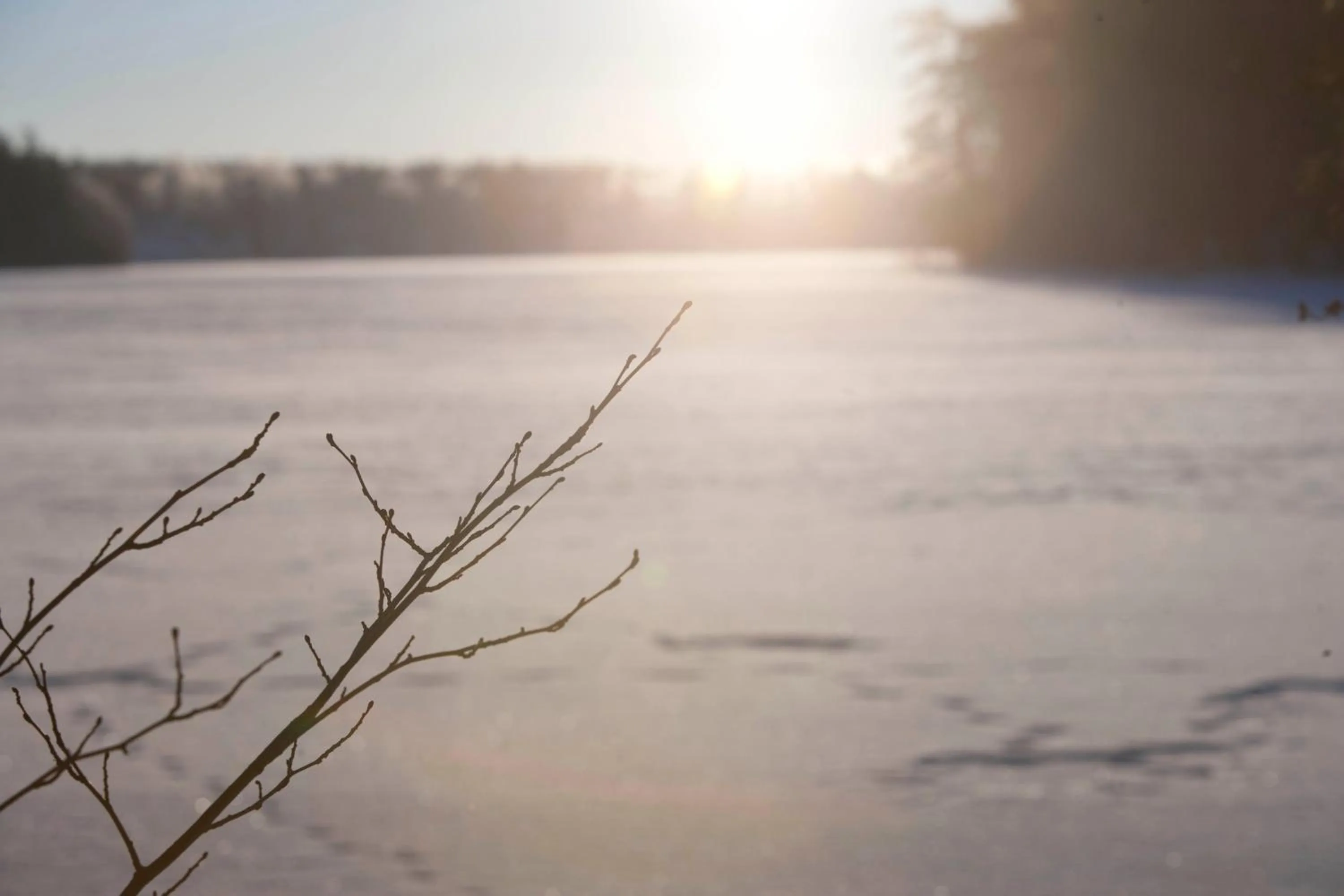 Natural landscape in Hestraviken Hotell & Spa