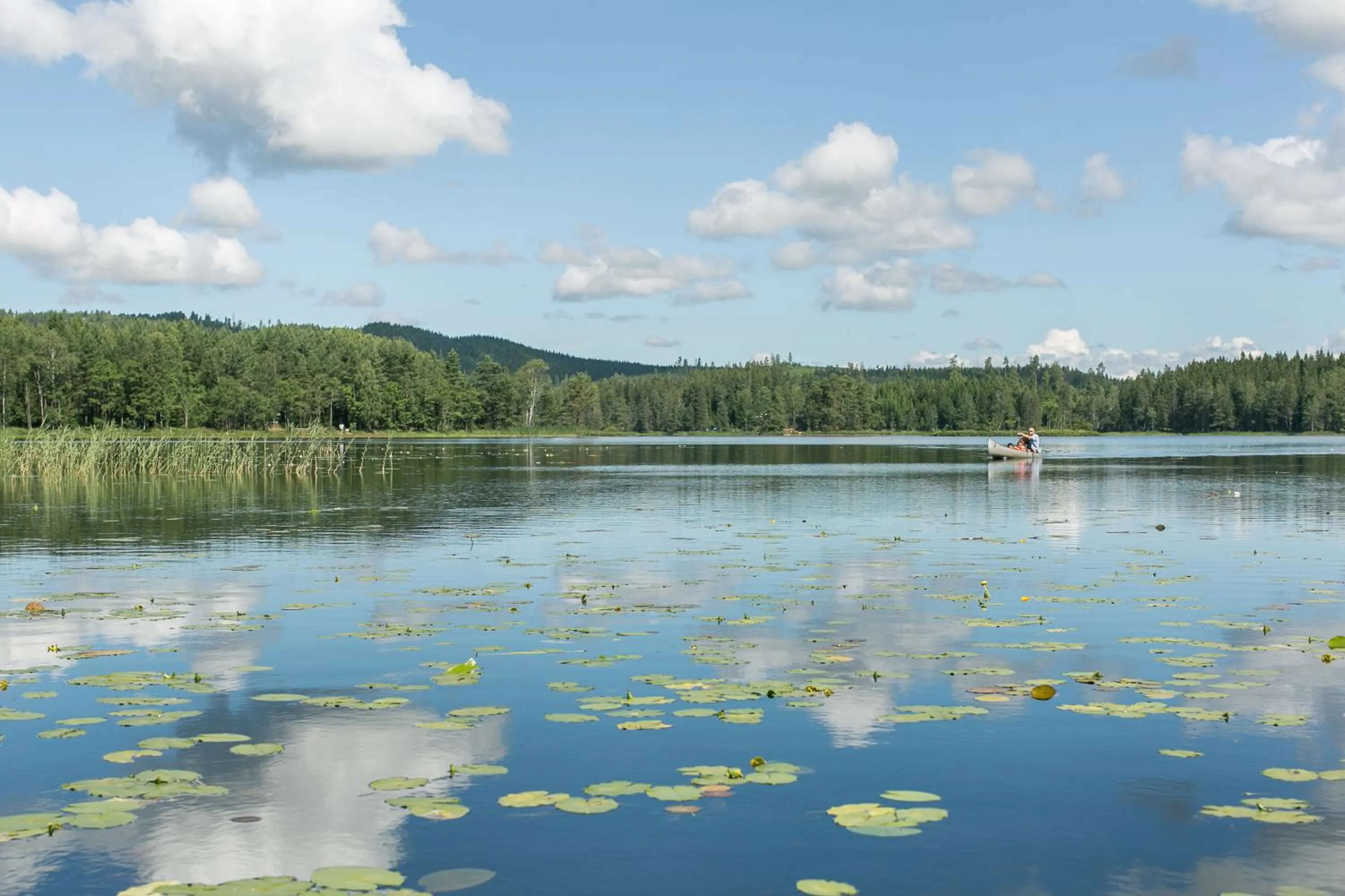 Day in Hestraviken Hotell & Spa