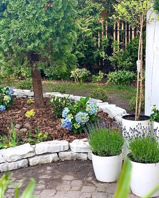 Garden in Hotel Dworek***