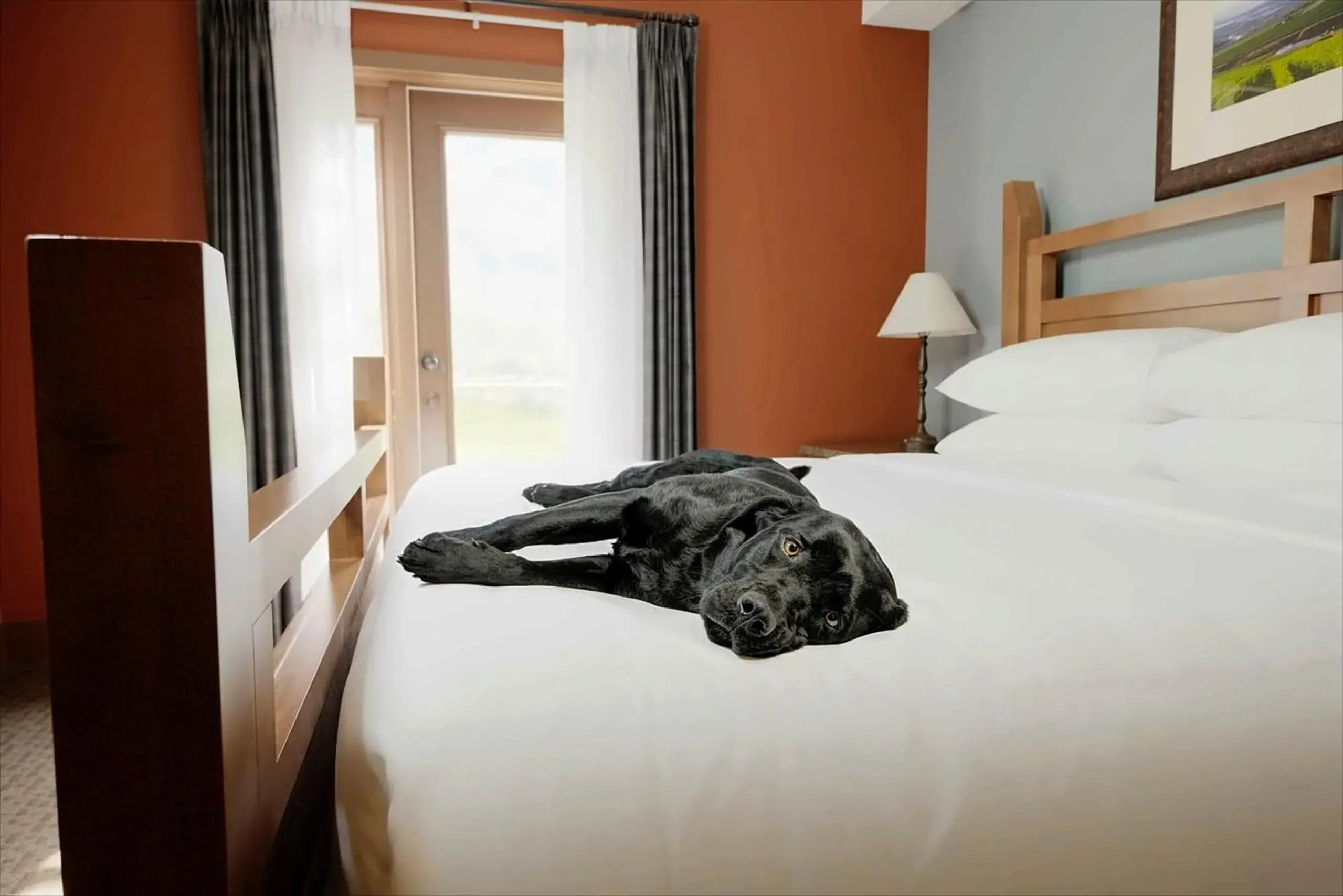 One-Bedroom Apartment with King and Pullout Bed in Spirit Ridge, in The Unbound Collection by Hyatt One-Bedroom Apartment with King and Pullout Bed in Spirit Ridge, in The Unbound Collection by Hyatt