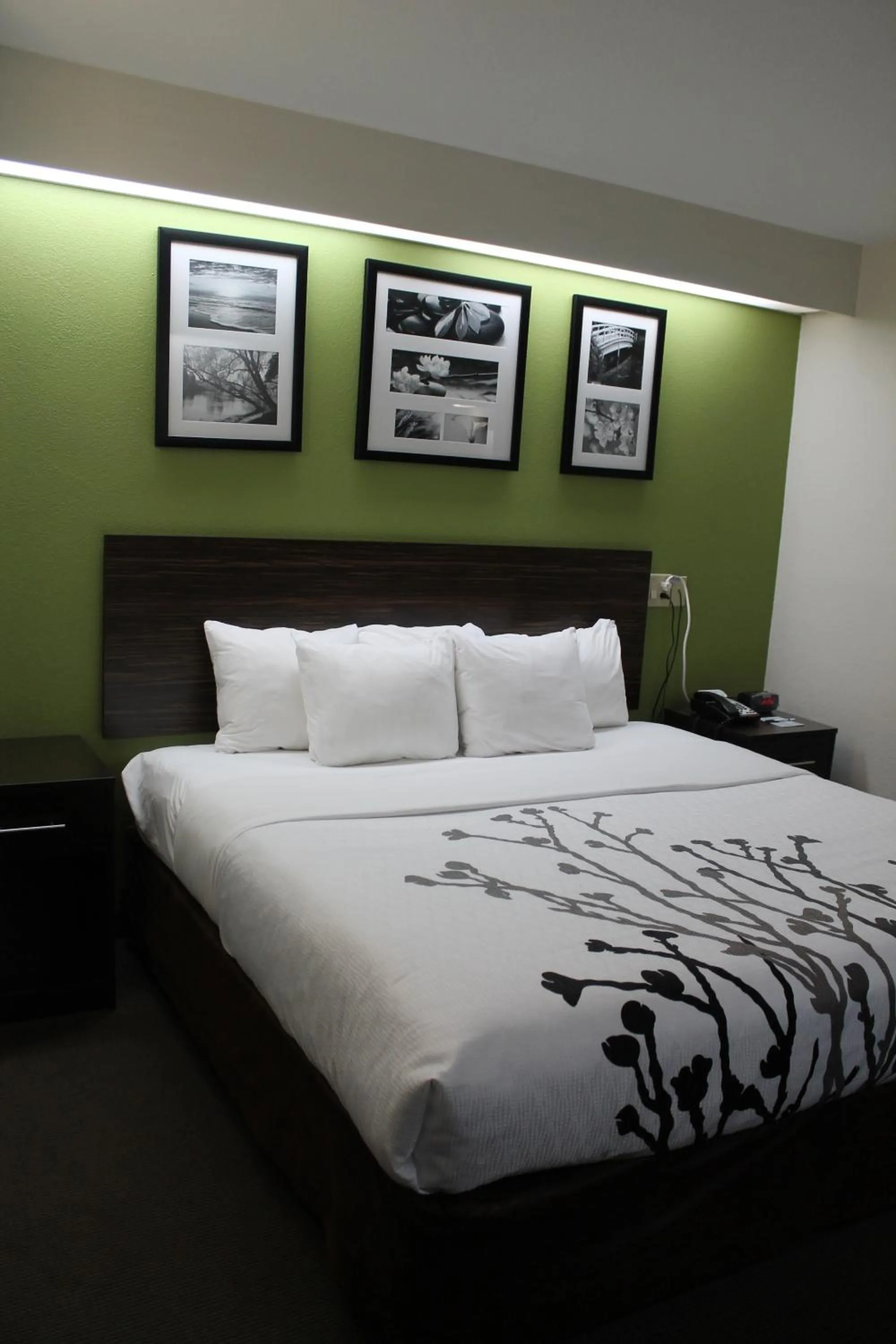 Bed in Sleep Inn Bryson City - Cherokee Area