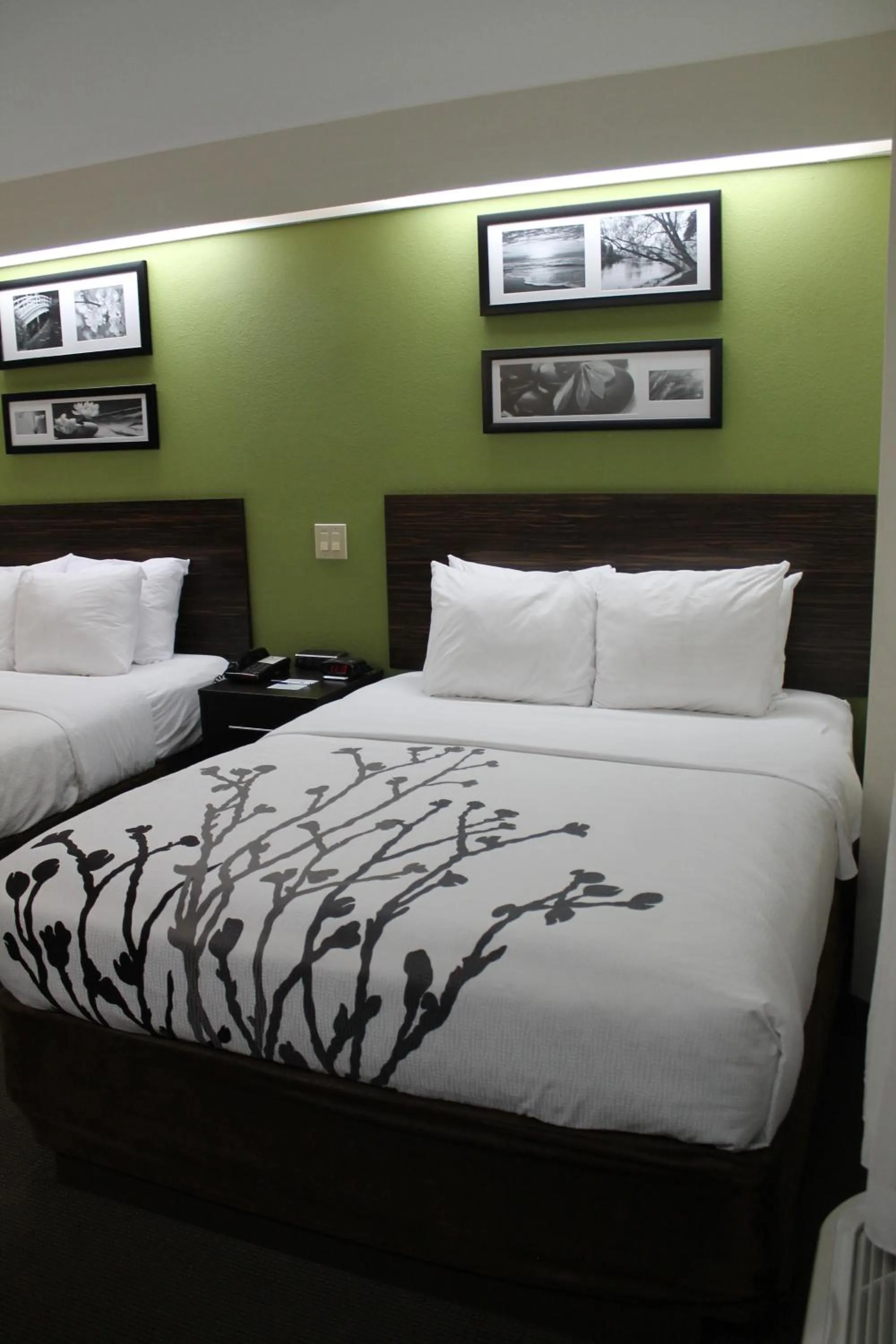 Bed in Sleep Inn Bryson City - Cherokee Area