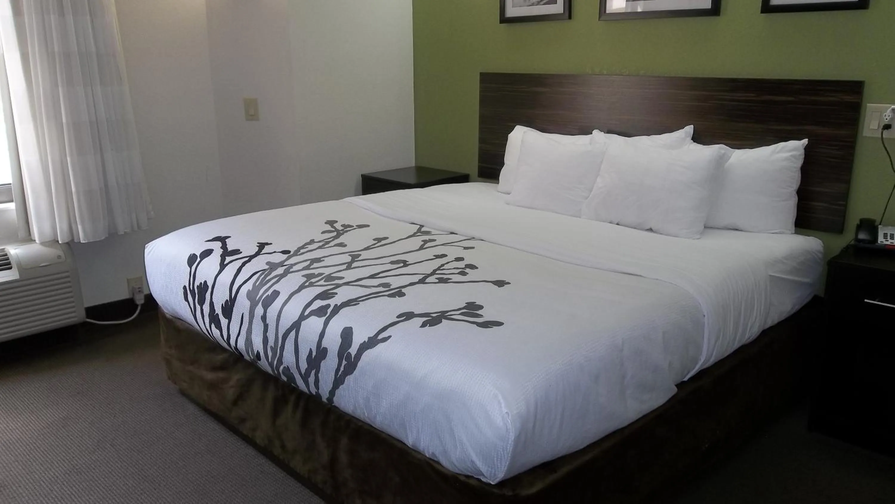 Bed in Sleep Inn Bryson City - Cherokee Area