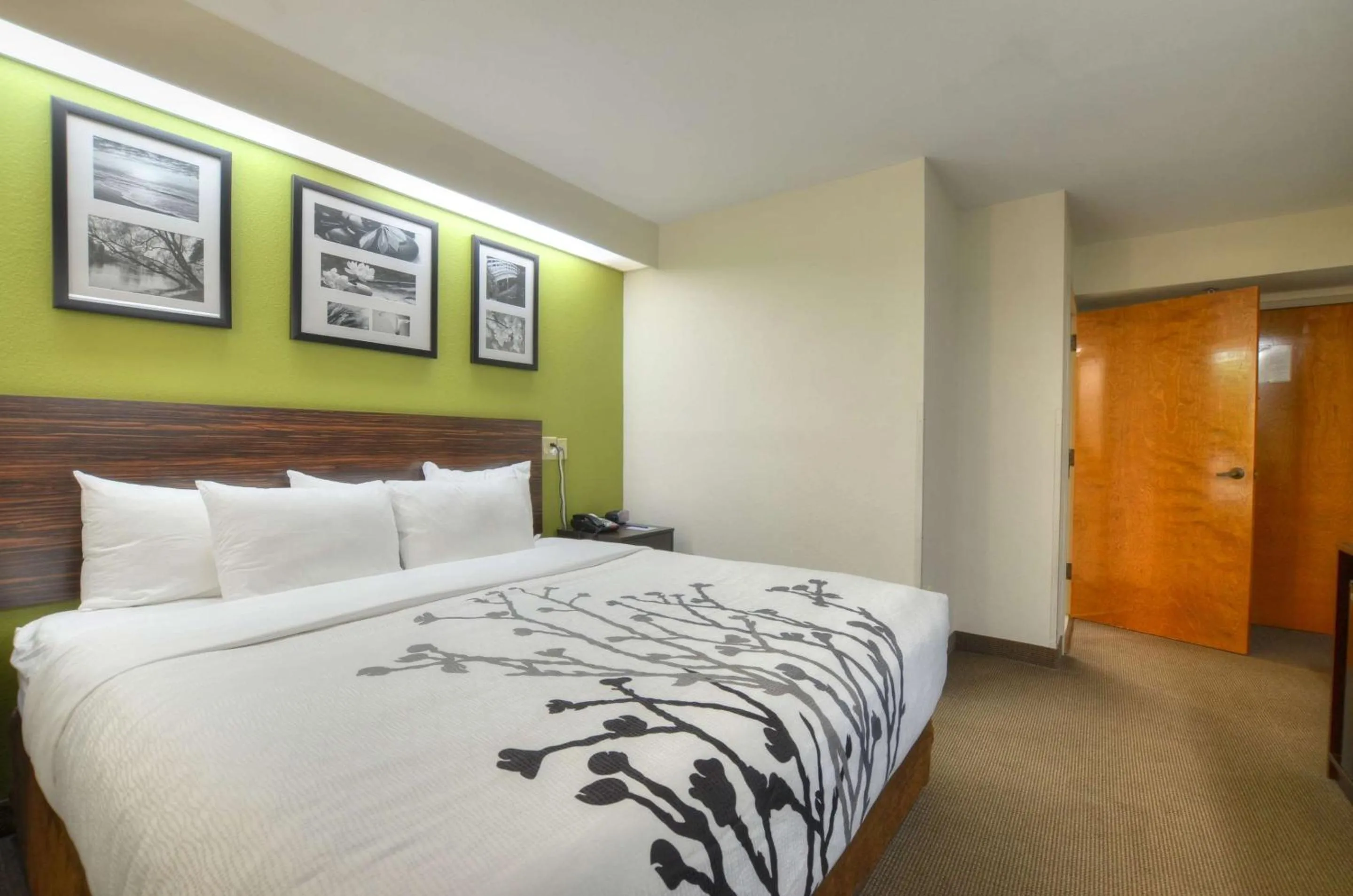 Bedroom, Bed in Sleep Inn Bryson City - Cherokee Area