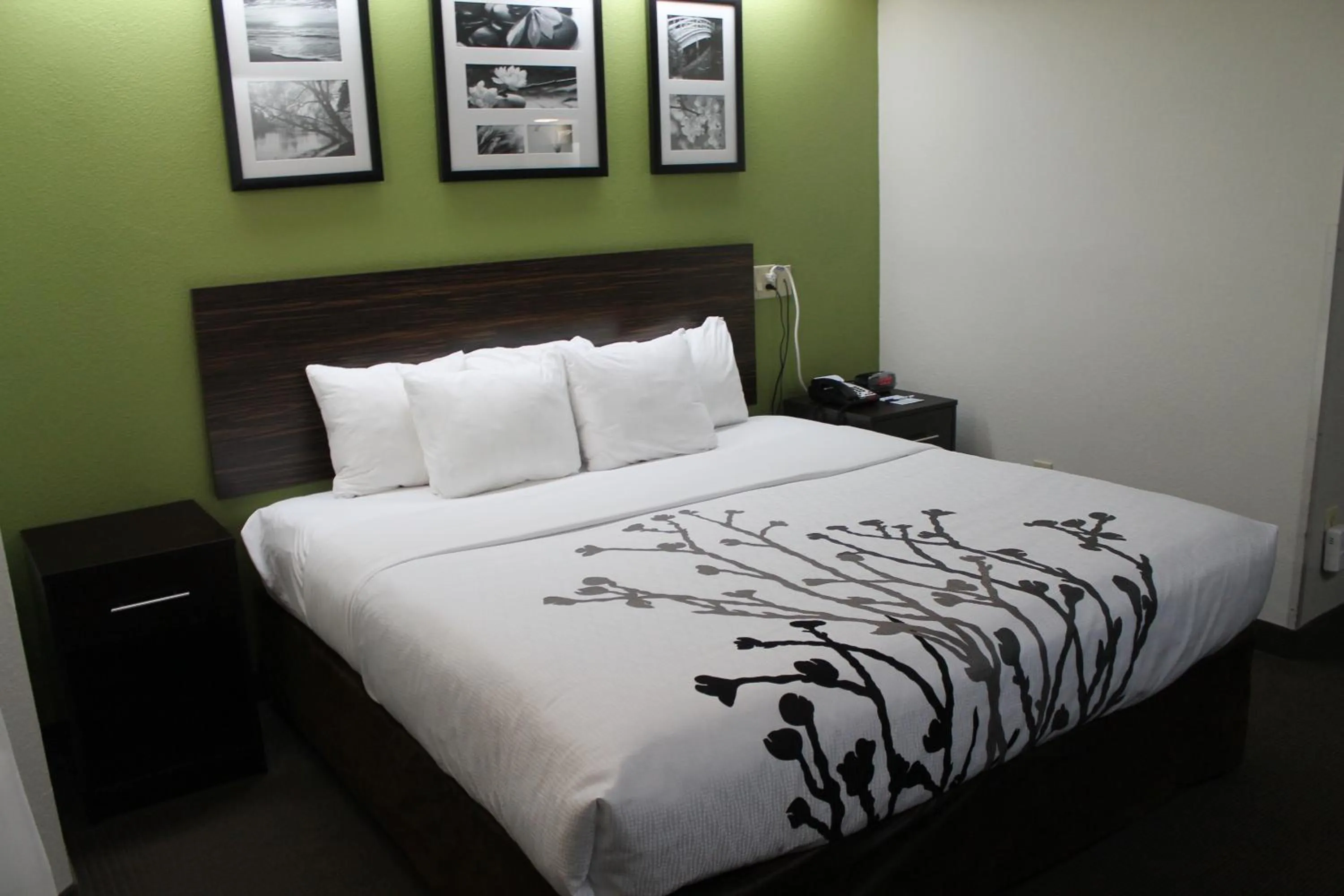 Bed in Sleep Inn Bryson City - Cherokee Area