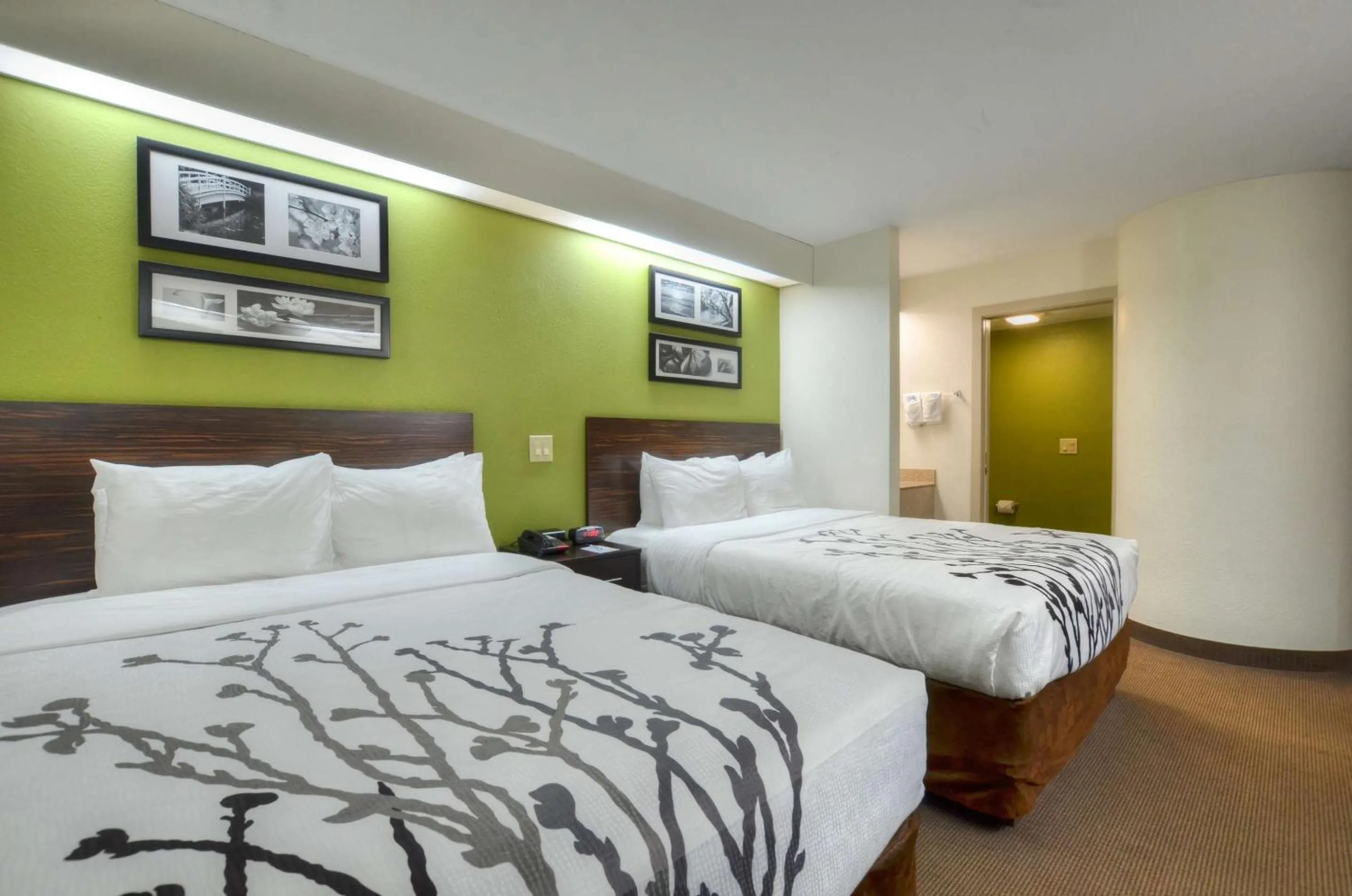 Bedroom, Bed in Sleep Inn Bryson City - Cherokee Area