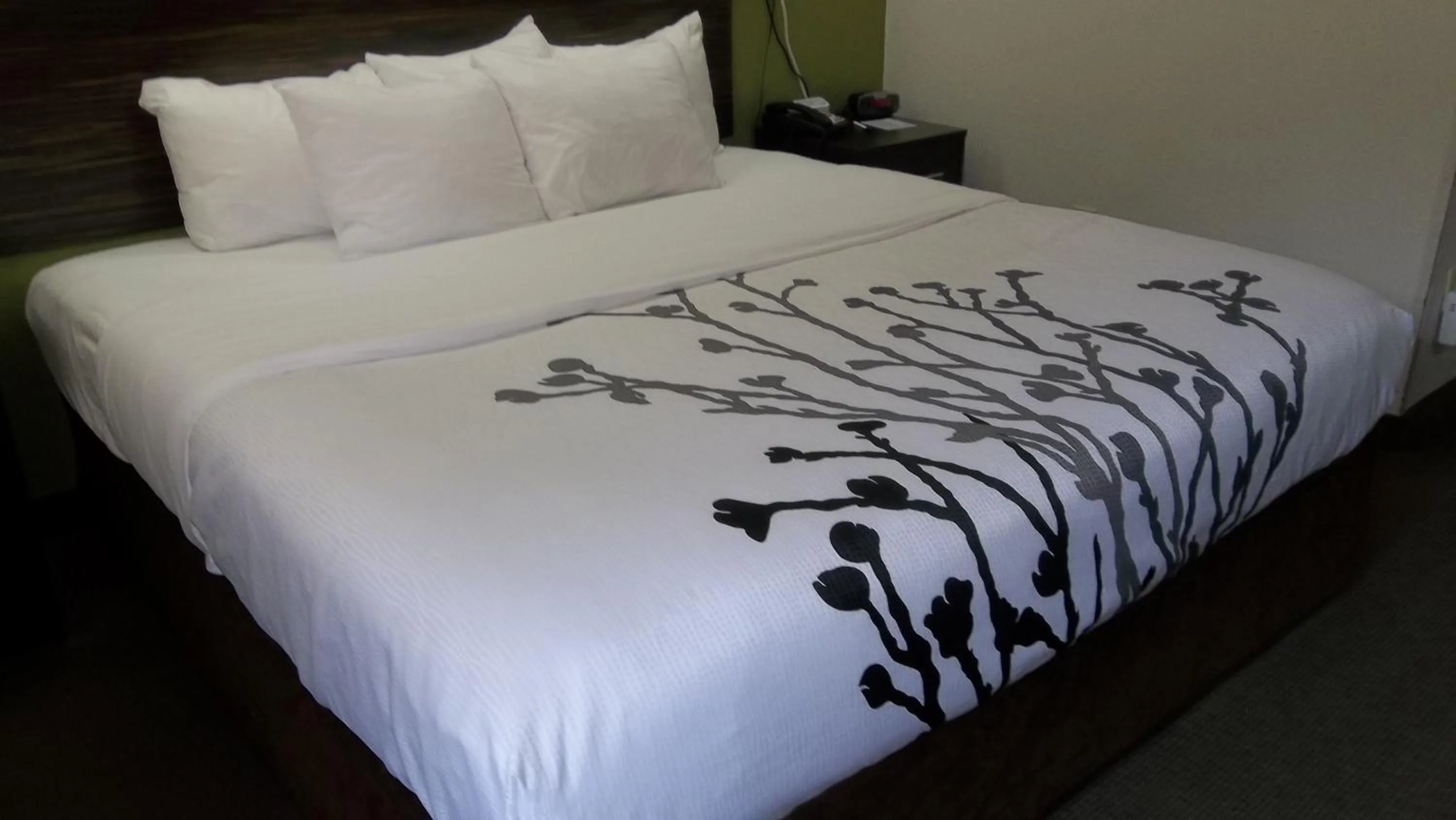 Bed in Sleep Inn Bryson City - Cherokee Area