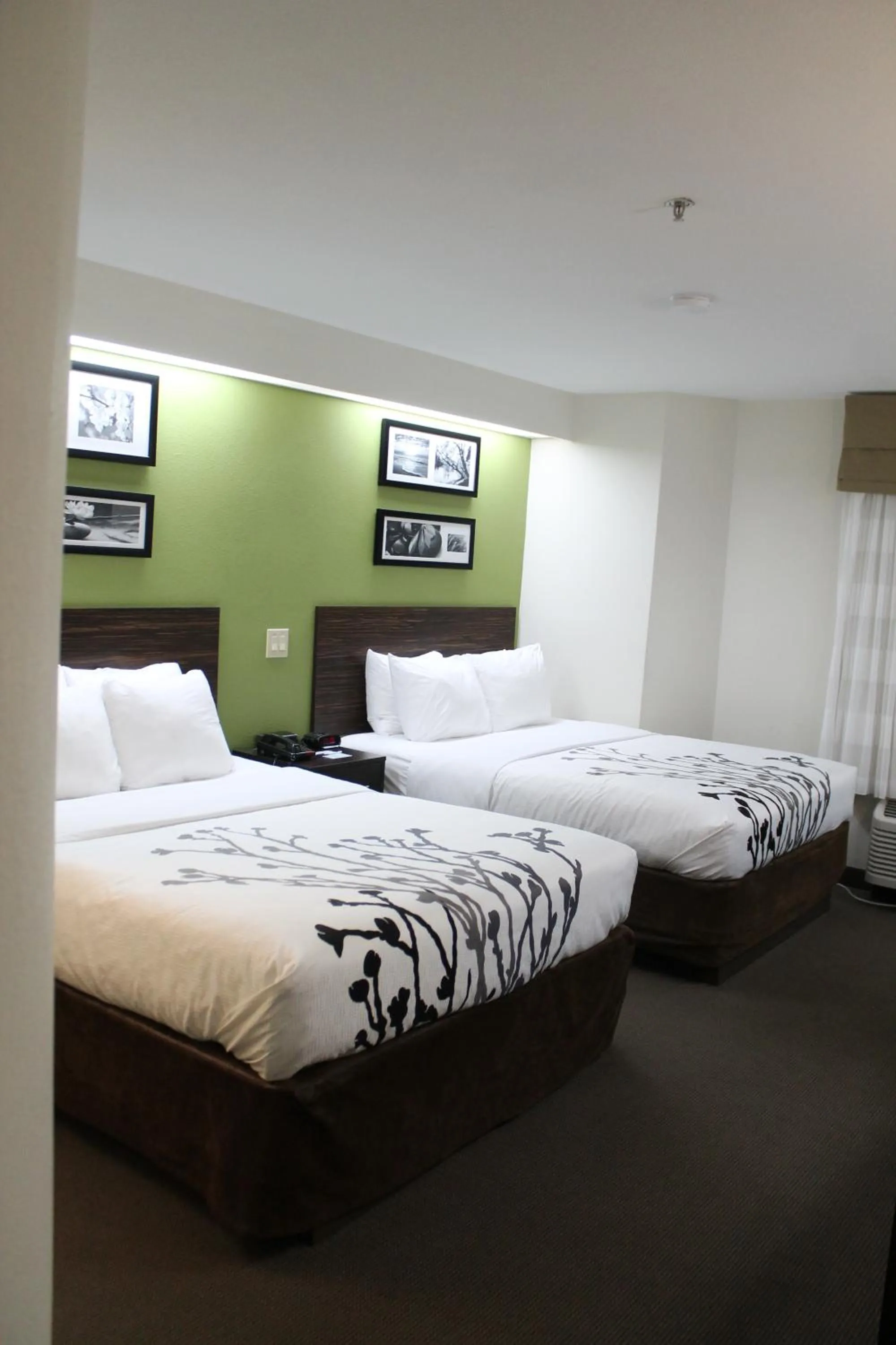 Bed in Sleep Inn Bryson City - Cherokee Area