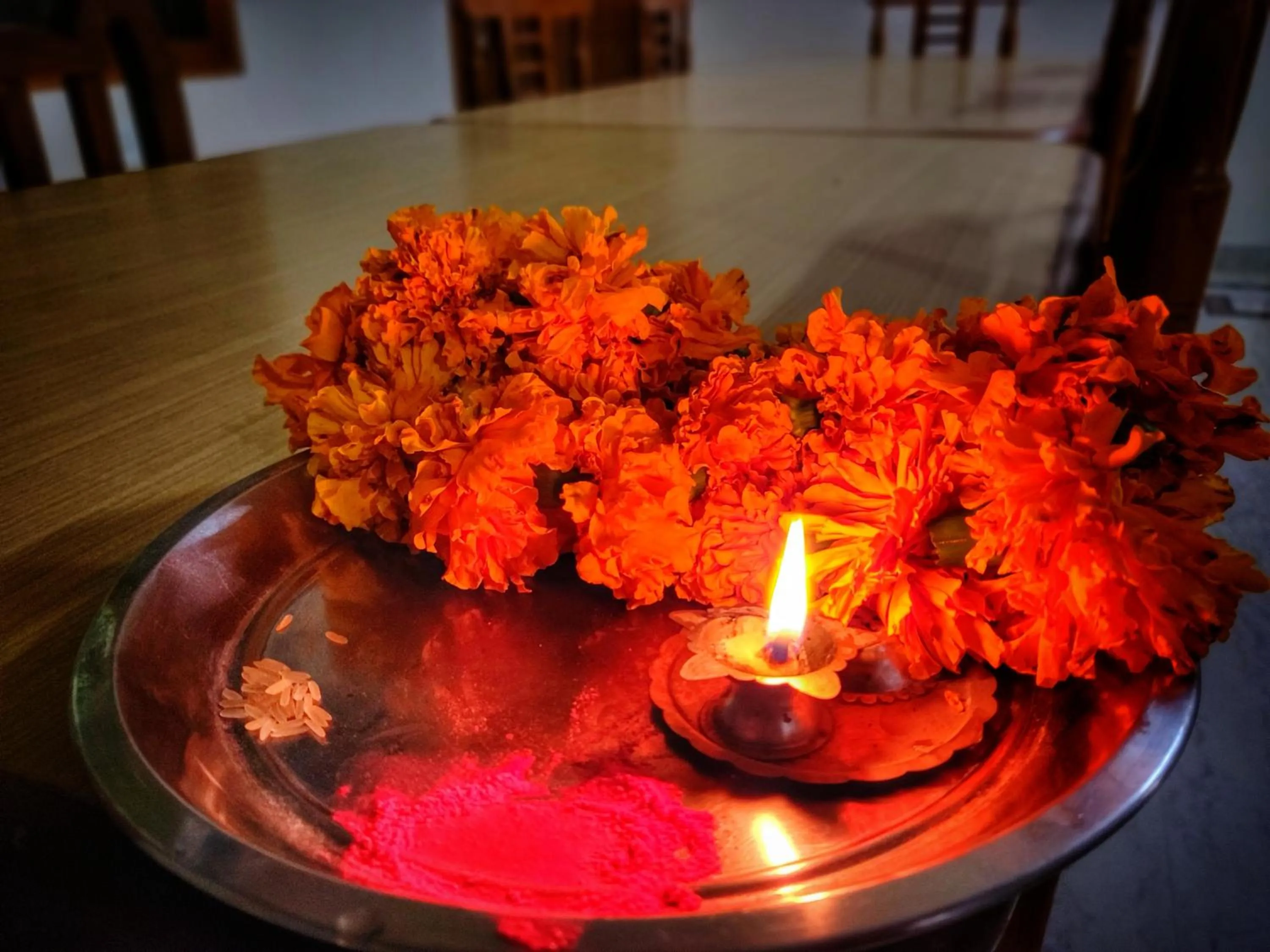 Other in Ranthambore Tiger Home