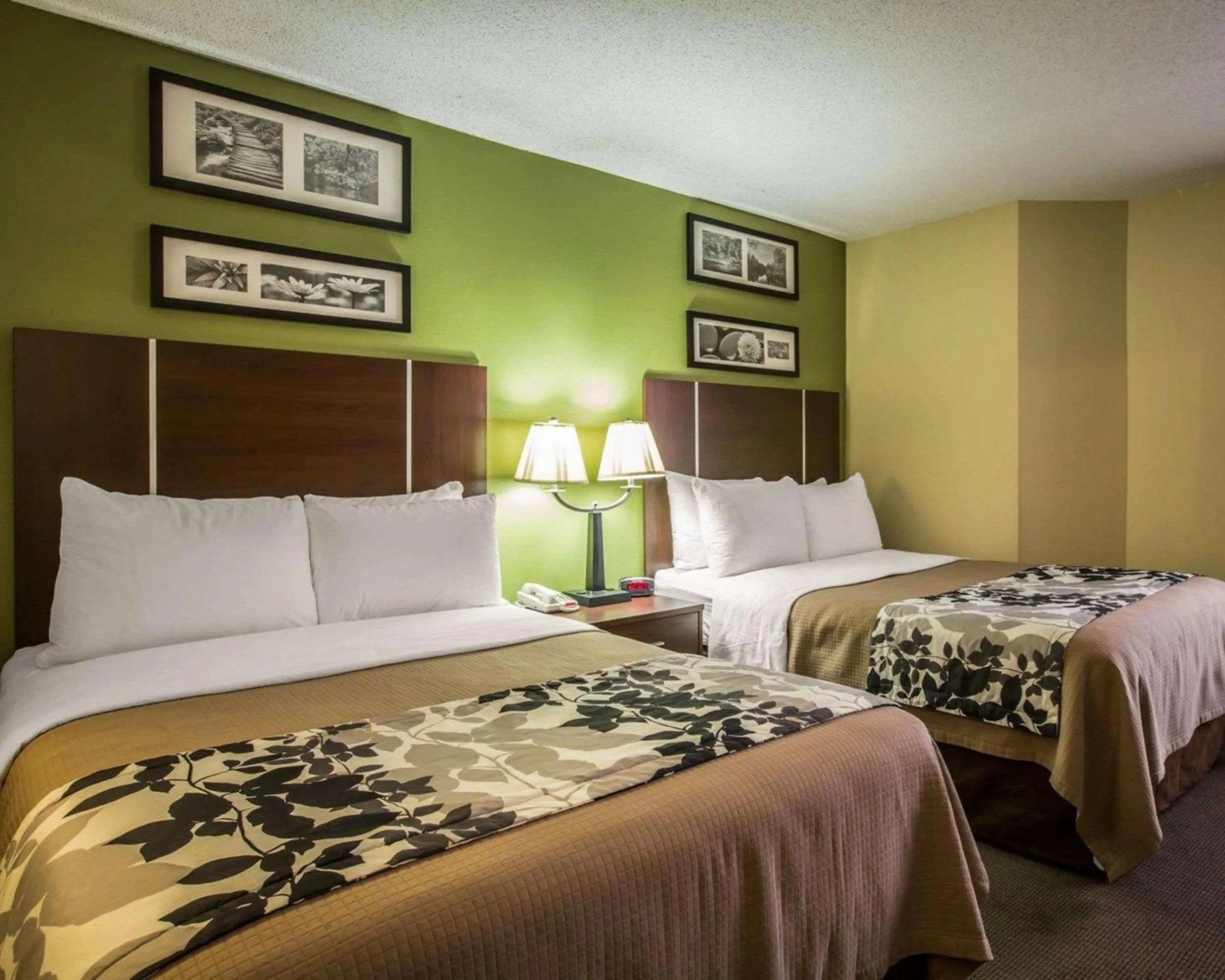 Photo of the whole room, Bed in Sleep Inn Asheville - Biltmore West