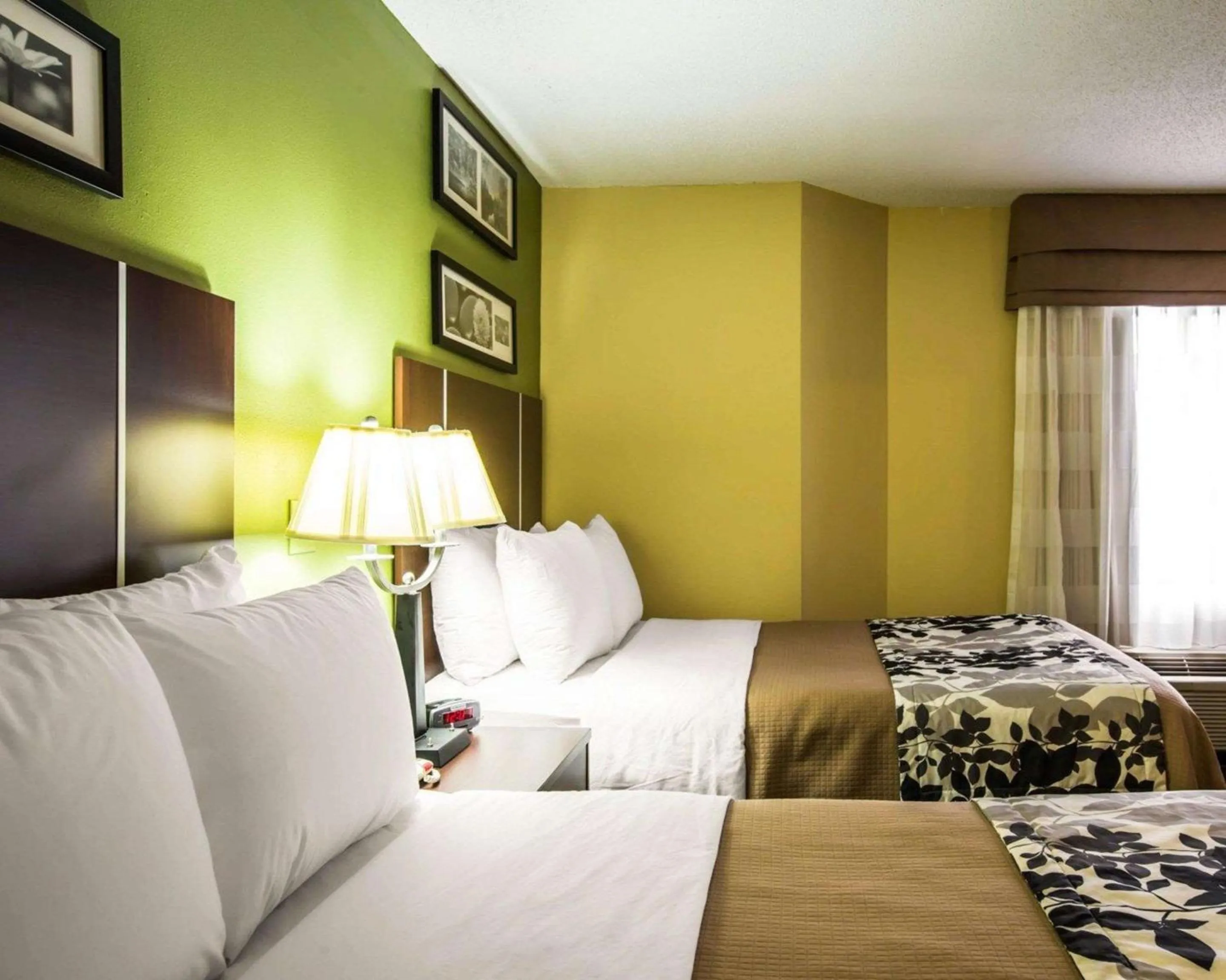 Photo of the whole room, Bed in Sleep Inn Asheville - Biltmore West