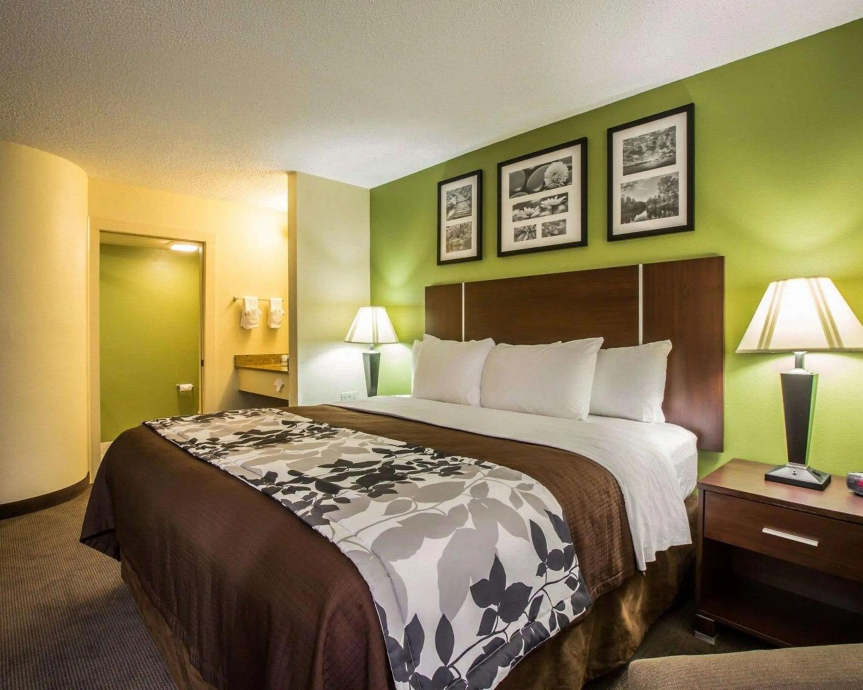 Photo of the whole room, Bed in Sleep Inn Asheville - Biltmore West