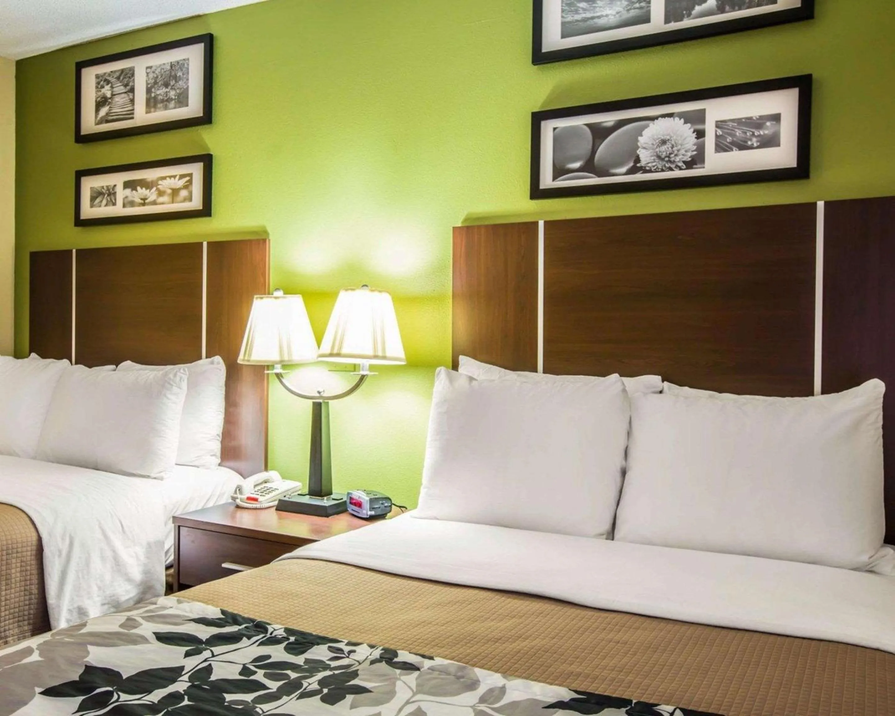 Photo of the whole room, Bed in Sleep Inn Asheville - Biltmore West