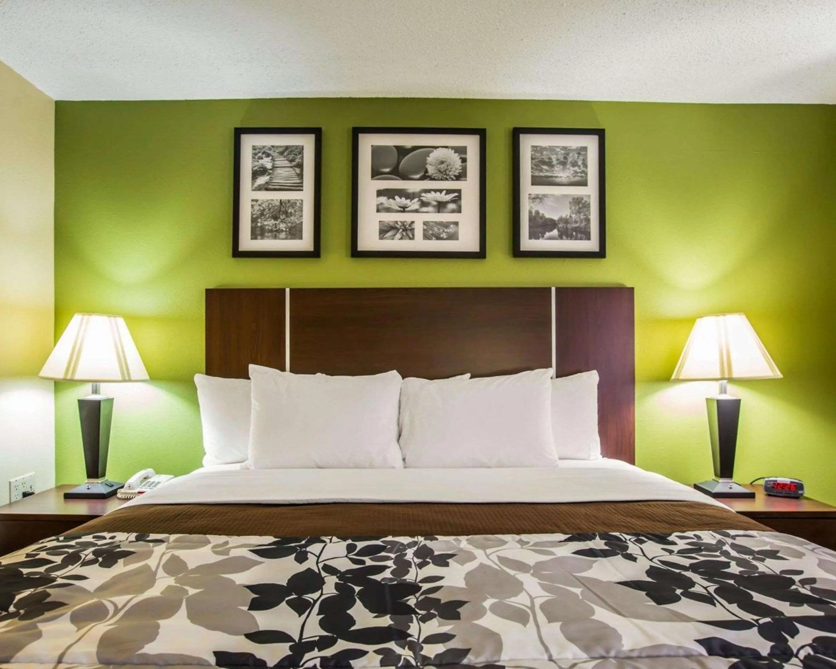 Photo of the whole room, Bed in Sleep Inn Asheville - Biltmore West