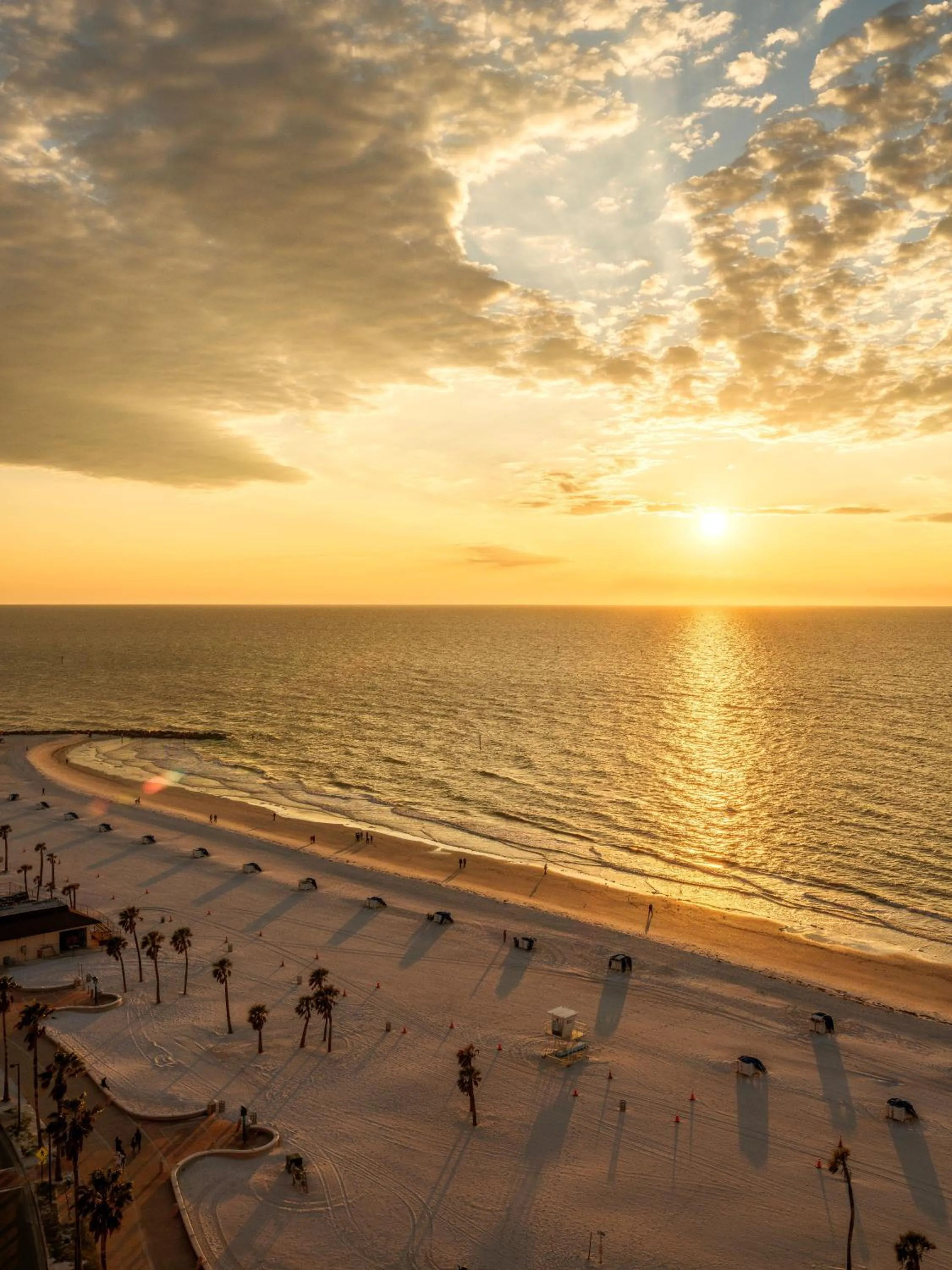 Natural landscape in Hyatt Regency Clearwater Beach Resort & Spa