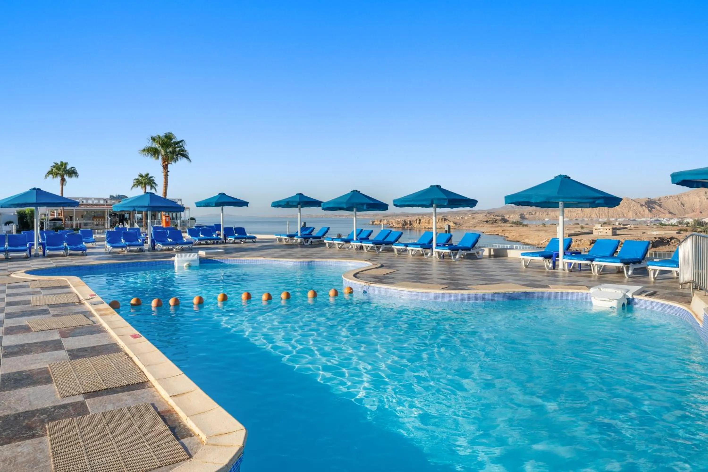 Pool view in Albatros Sharm Resort - By Pickalbatros