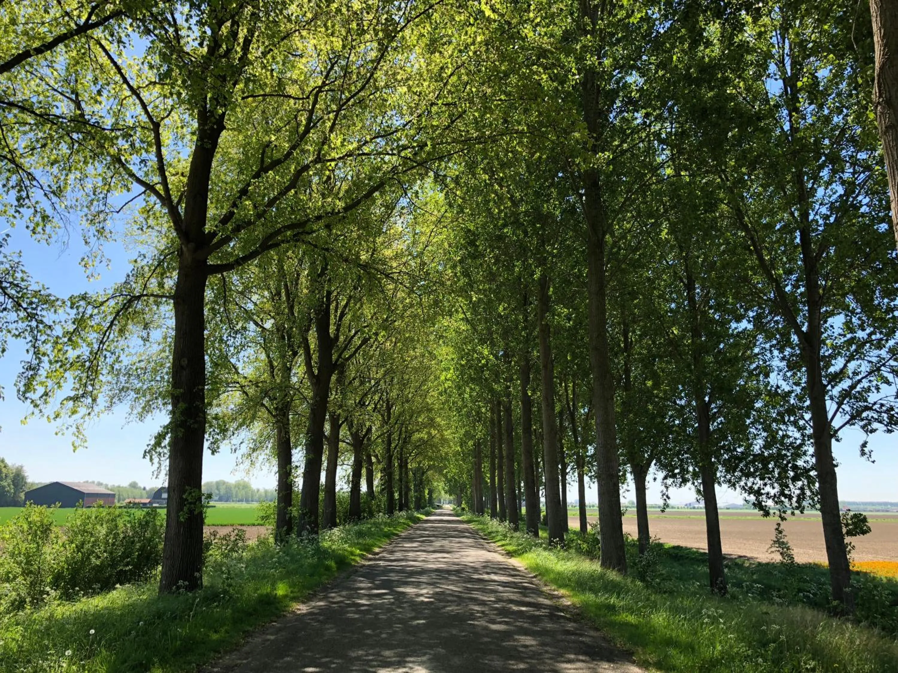 Slapen bij de Zeeuwse Lala