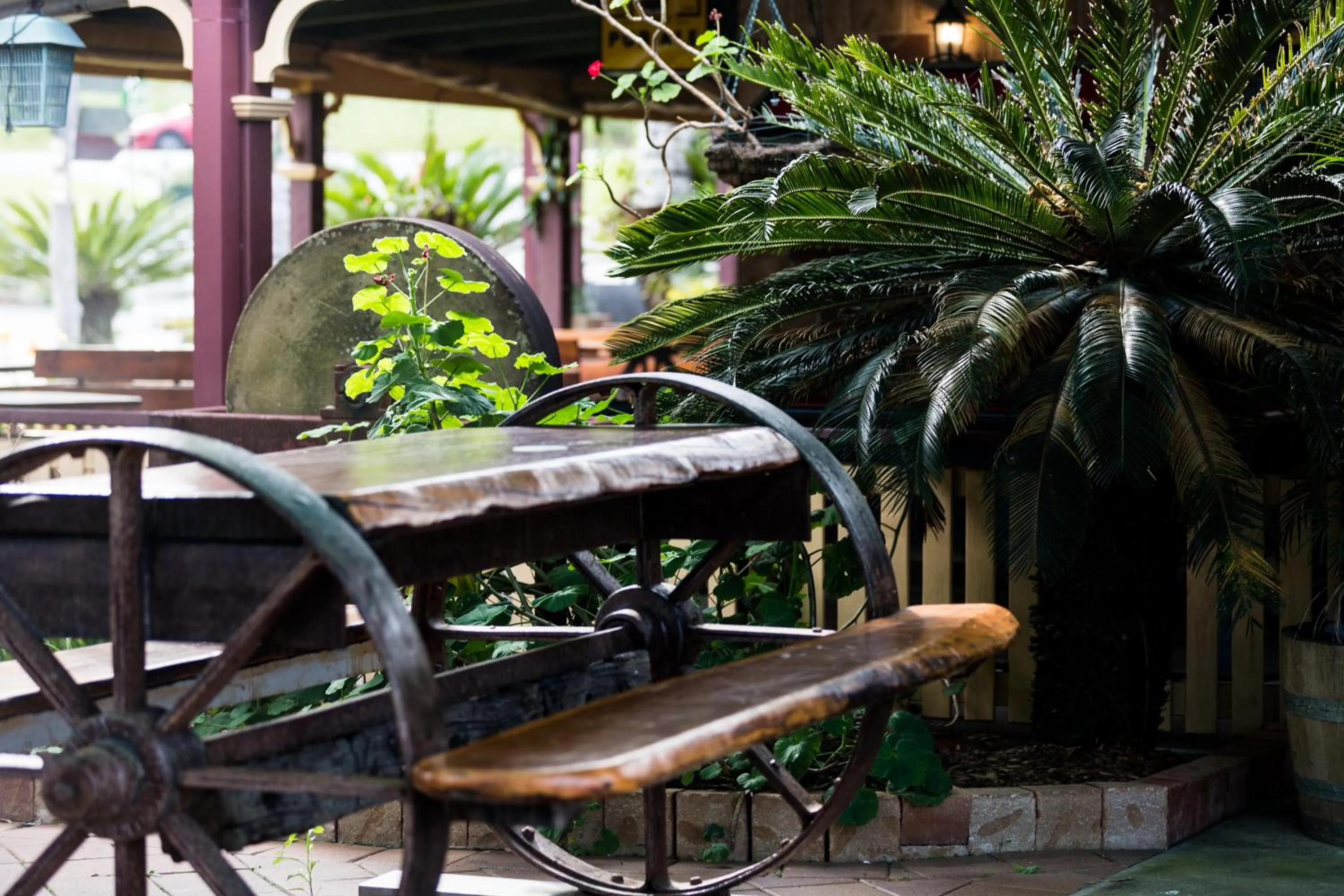 Patio in The Bearded Dragon Boutique Hotel