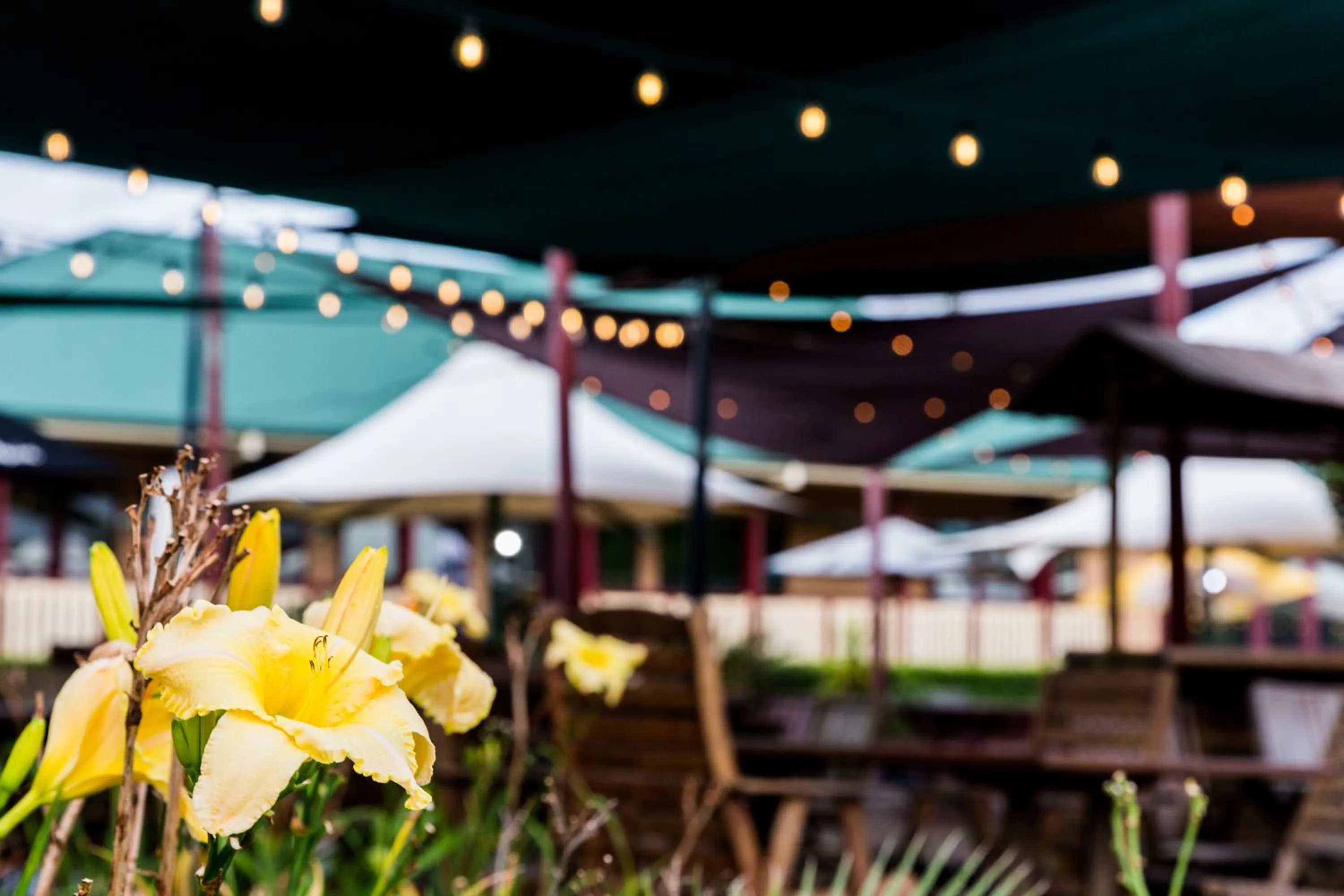 Property building in The Bearded Dragon Boutique Hotel