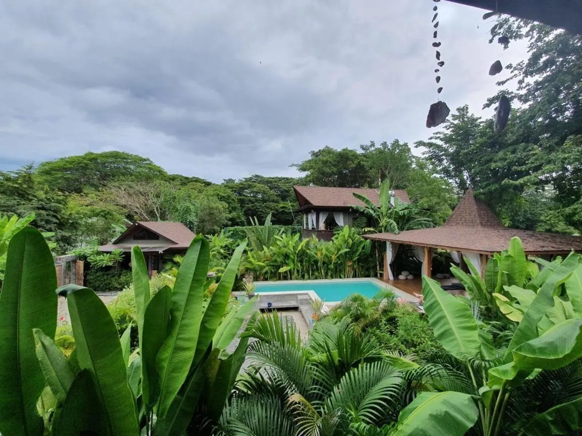 Garden view in Lua Villas