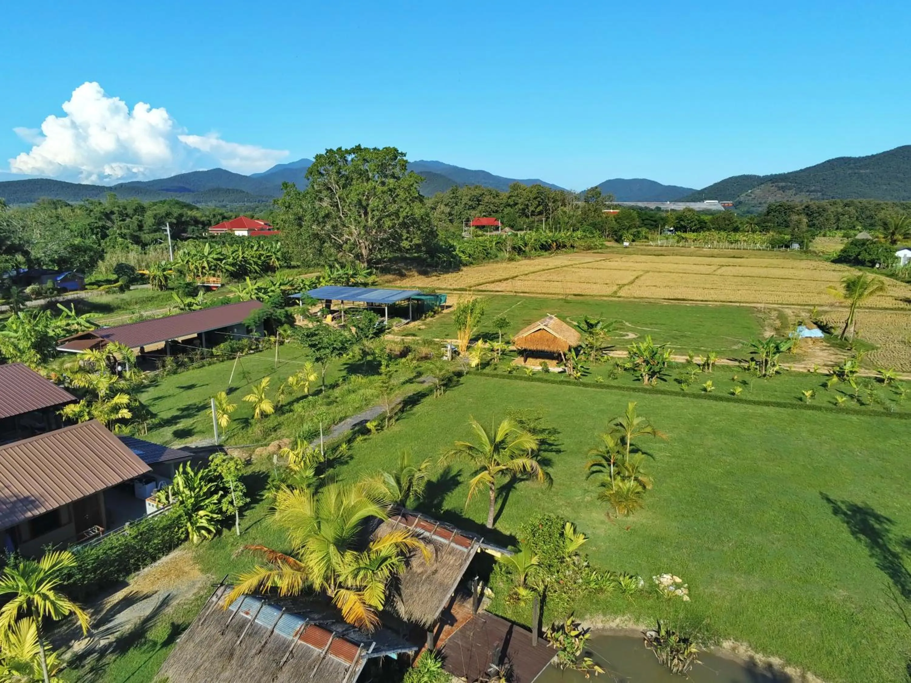 Bird's eye view in Le Cocotier