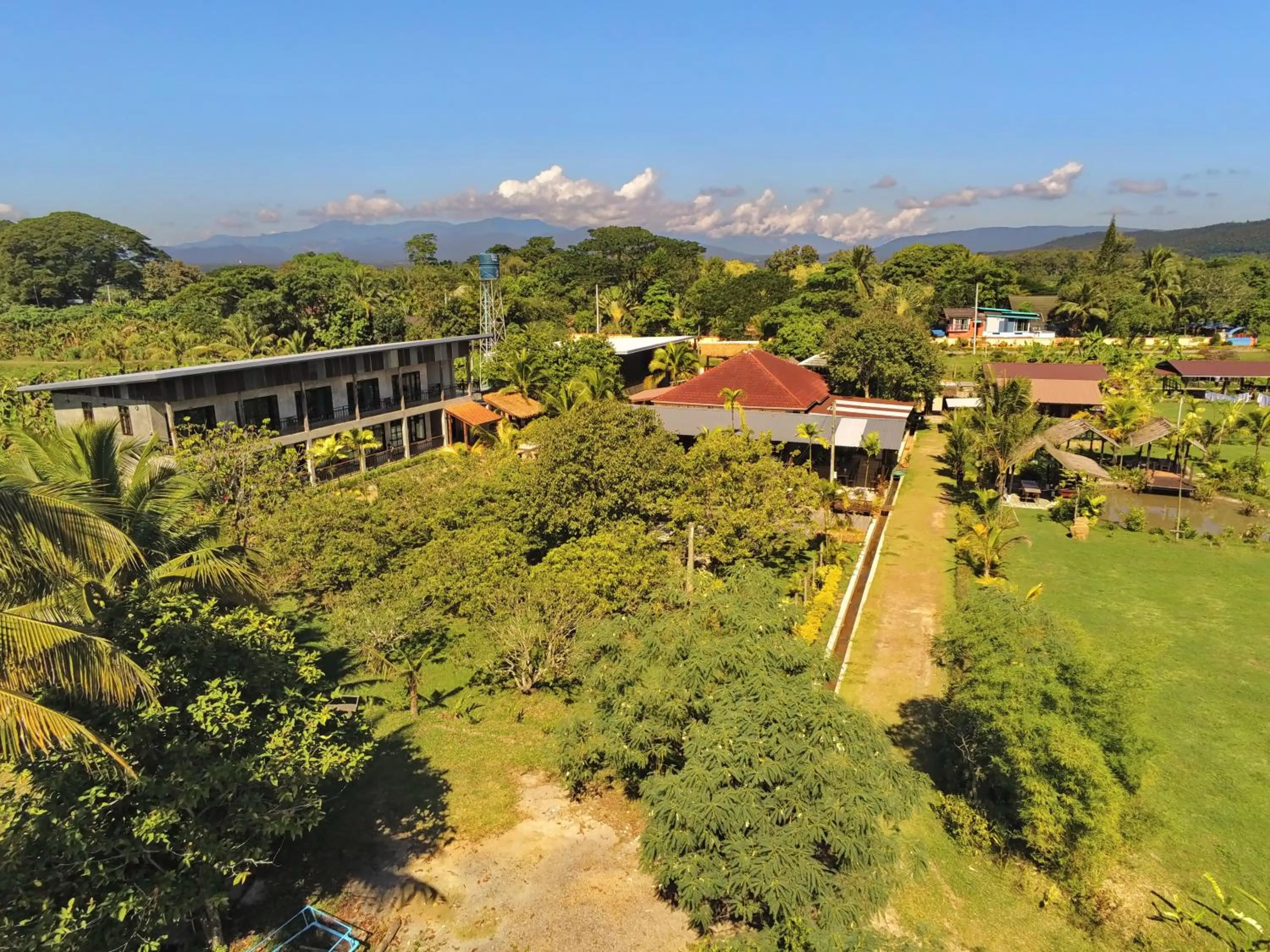 Bird's eye view in Le Cocotier