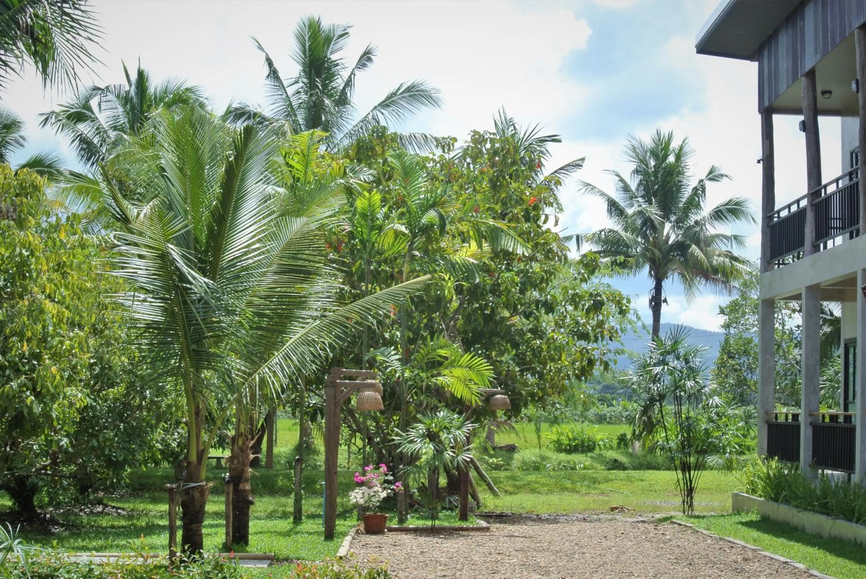 Garden in Le Cocotier