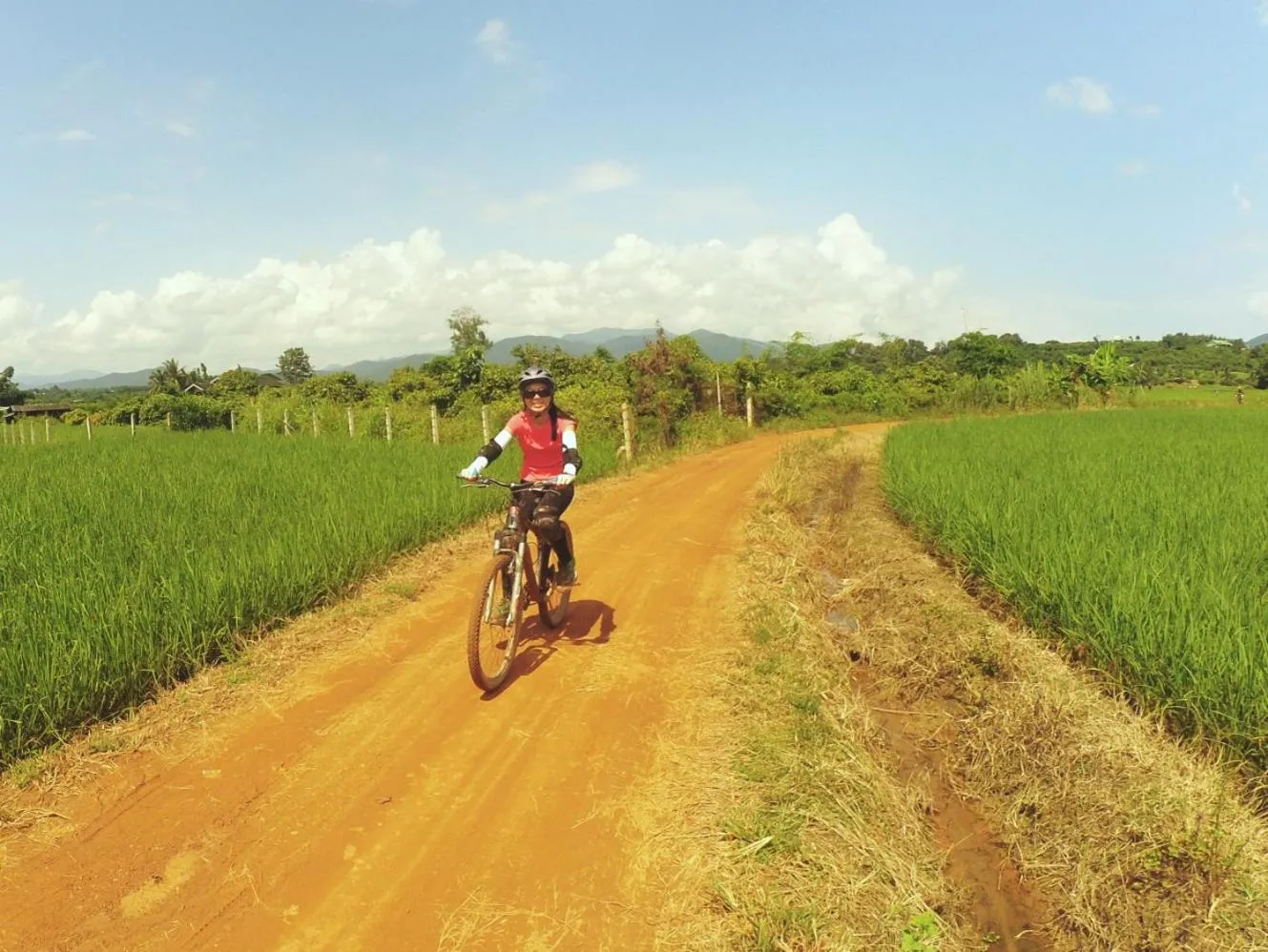 Activities in Le Cocotier