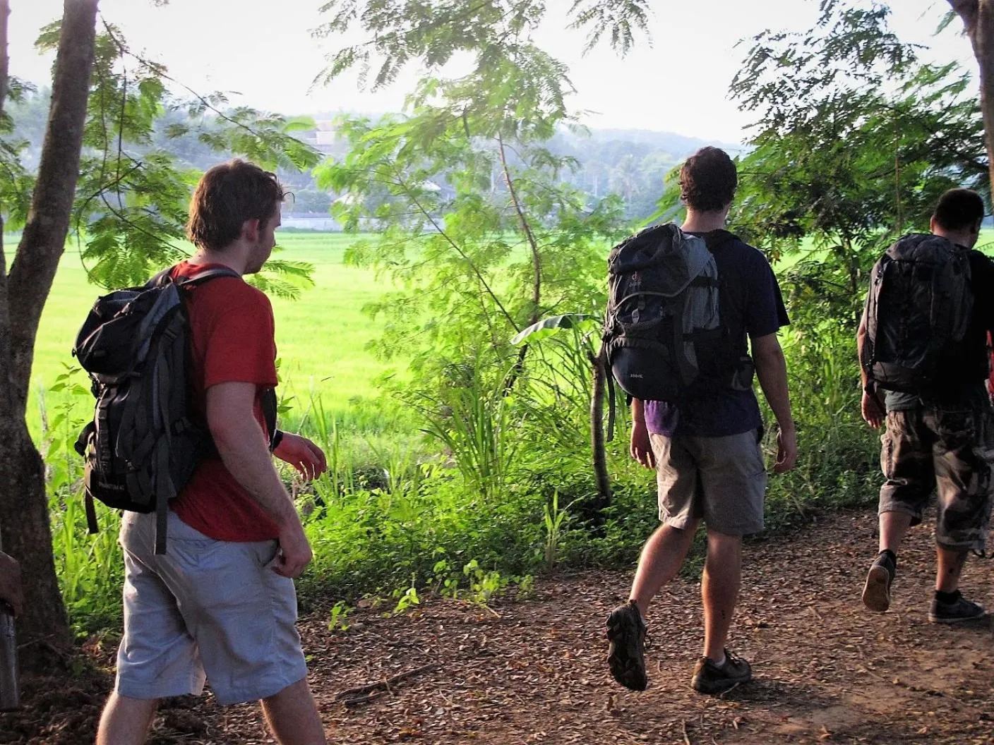 Hiking in Le Cocotier