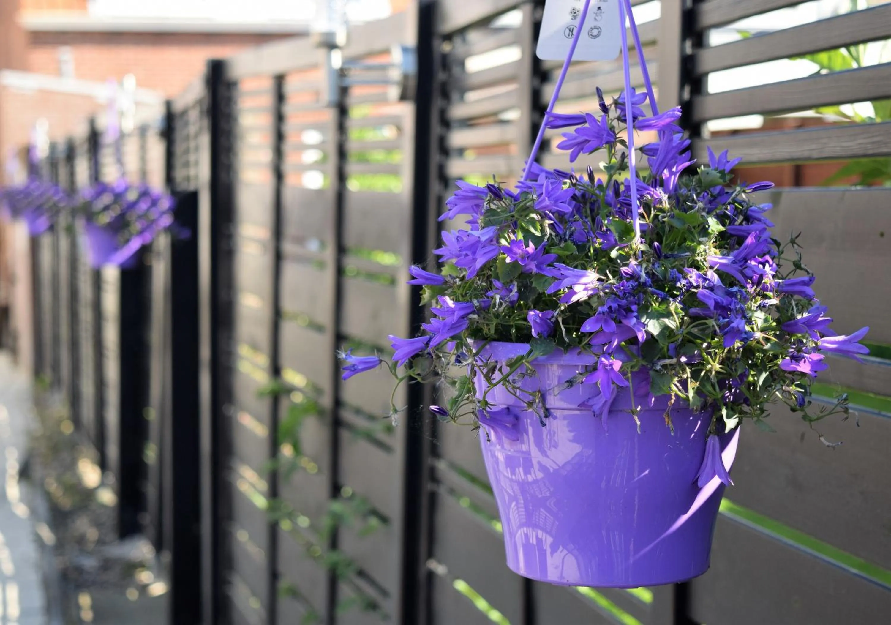 Property building in Hotel Maurice