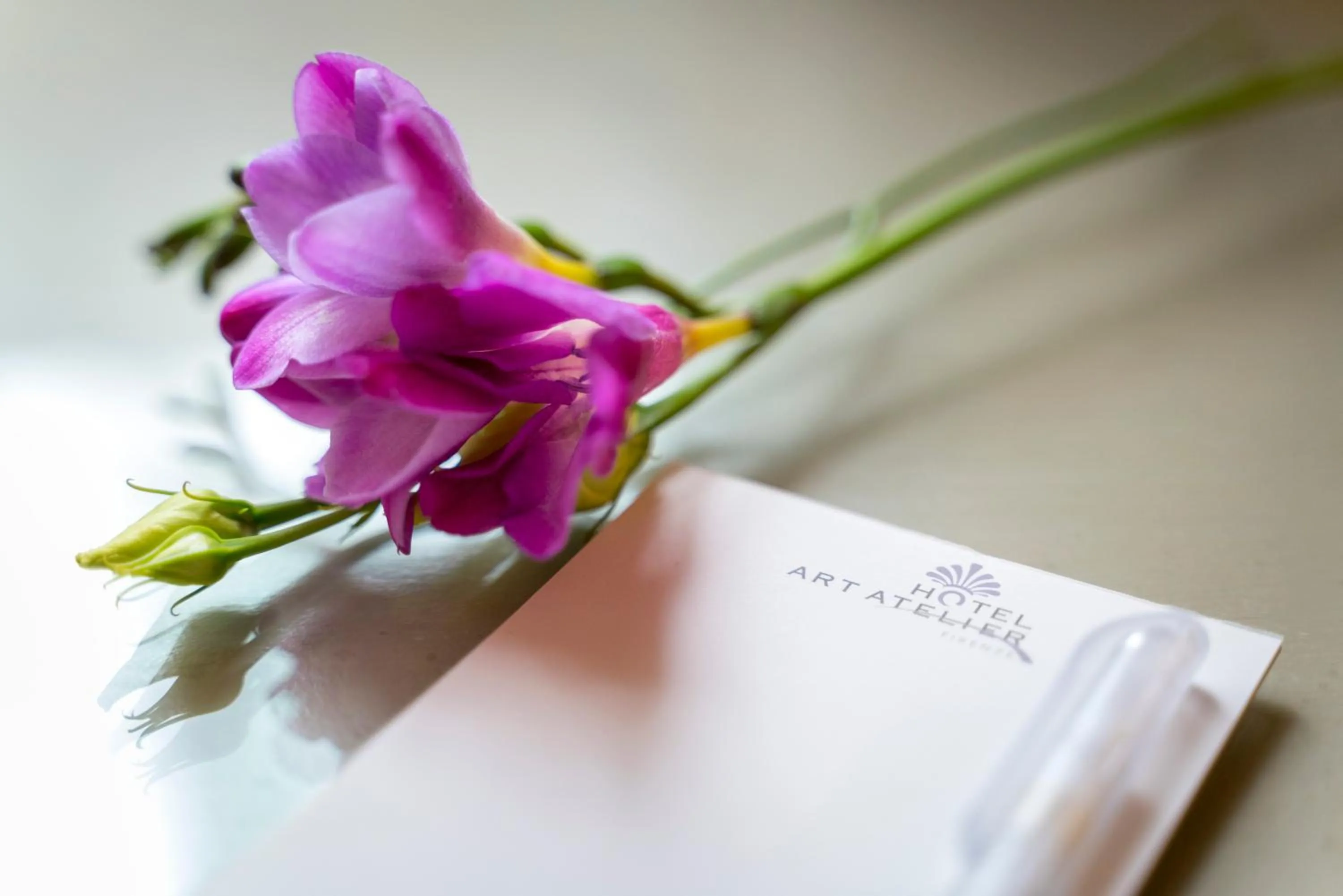 Other in Hotel Art Atelier - Place of Charme