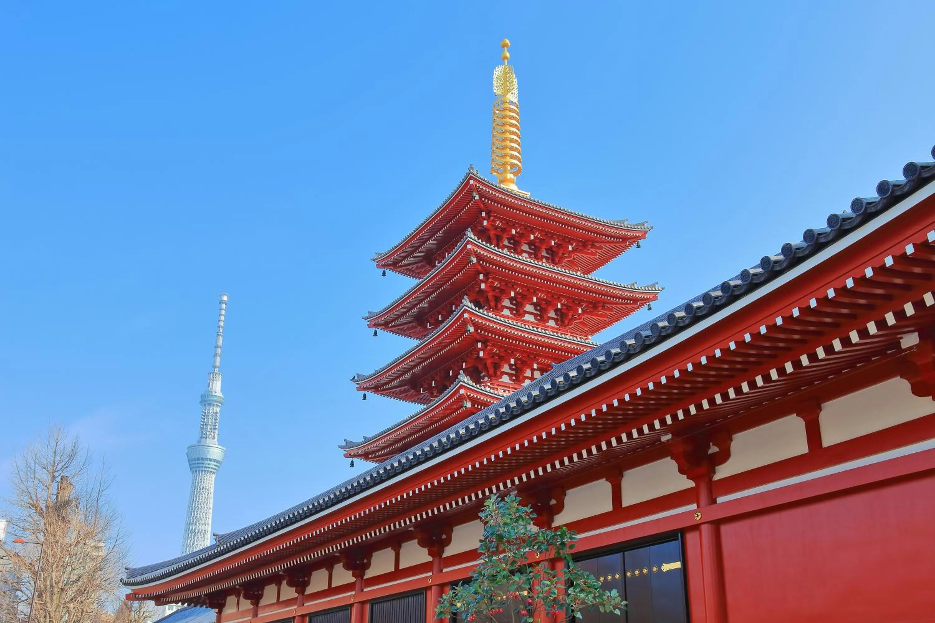 Nearby landmark in Stay SAKURA Tokyo Asakusa Townhouse