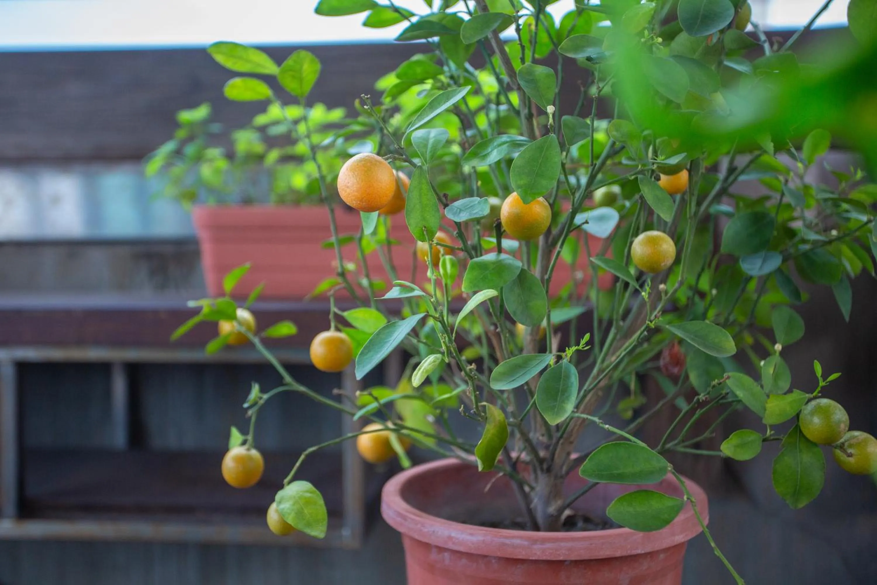 Corner Hostel & Cafe