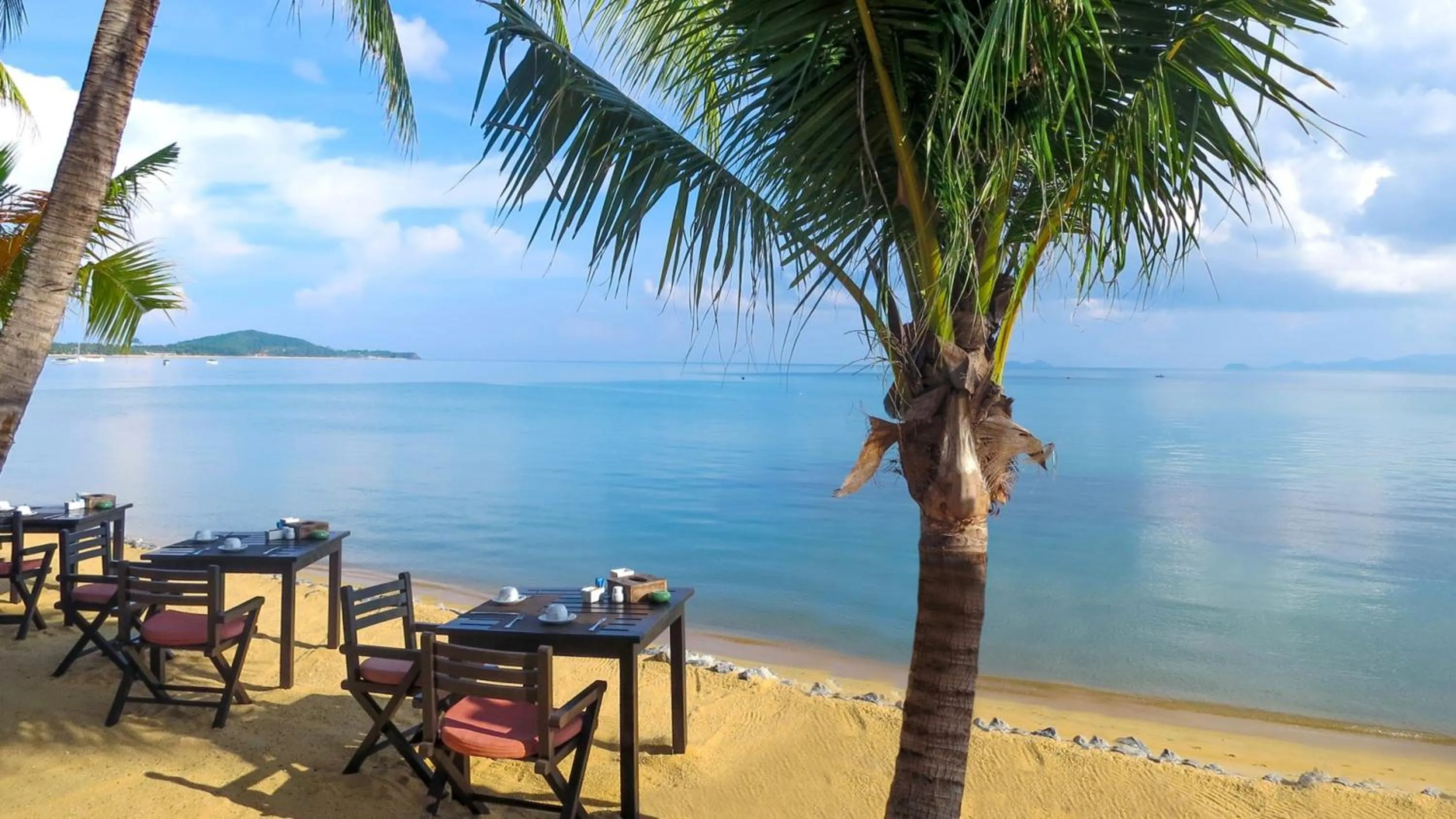 Natural landscape in Paradise Beach Resort, Koh Samui - SHA Extra Plus