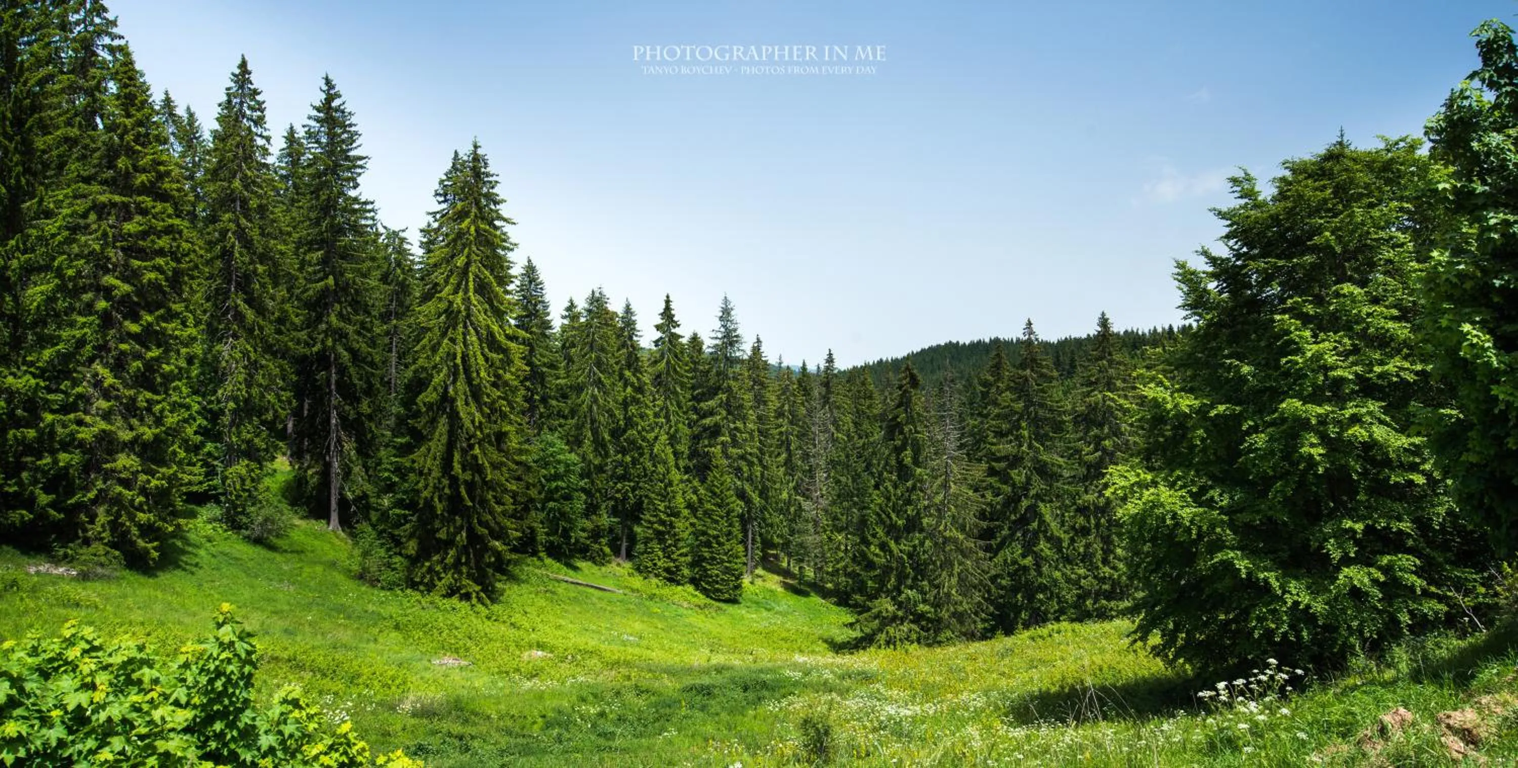 Natural landscape in Elina Hotel