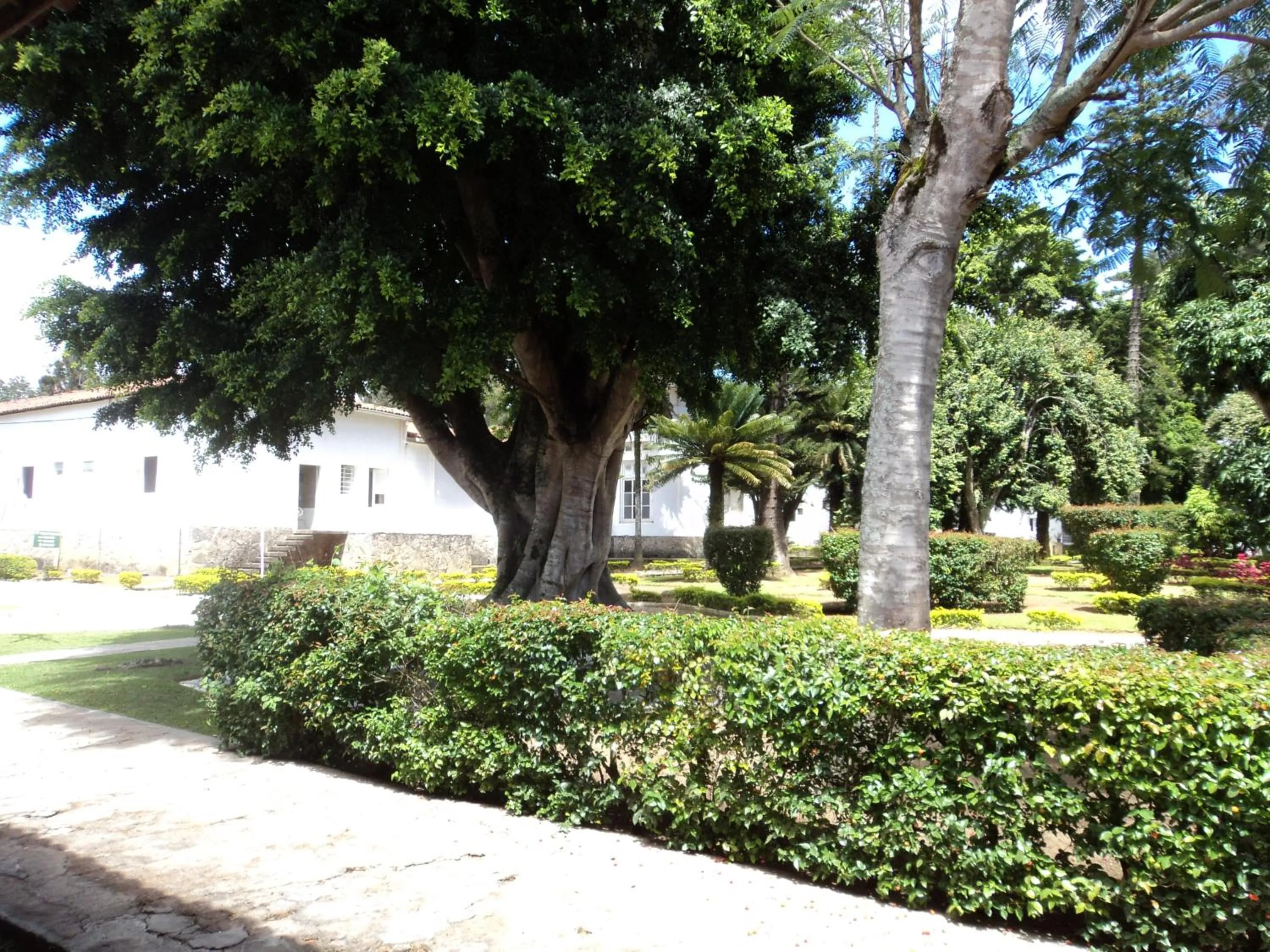 Garden in Hotel Tavares Correia