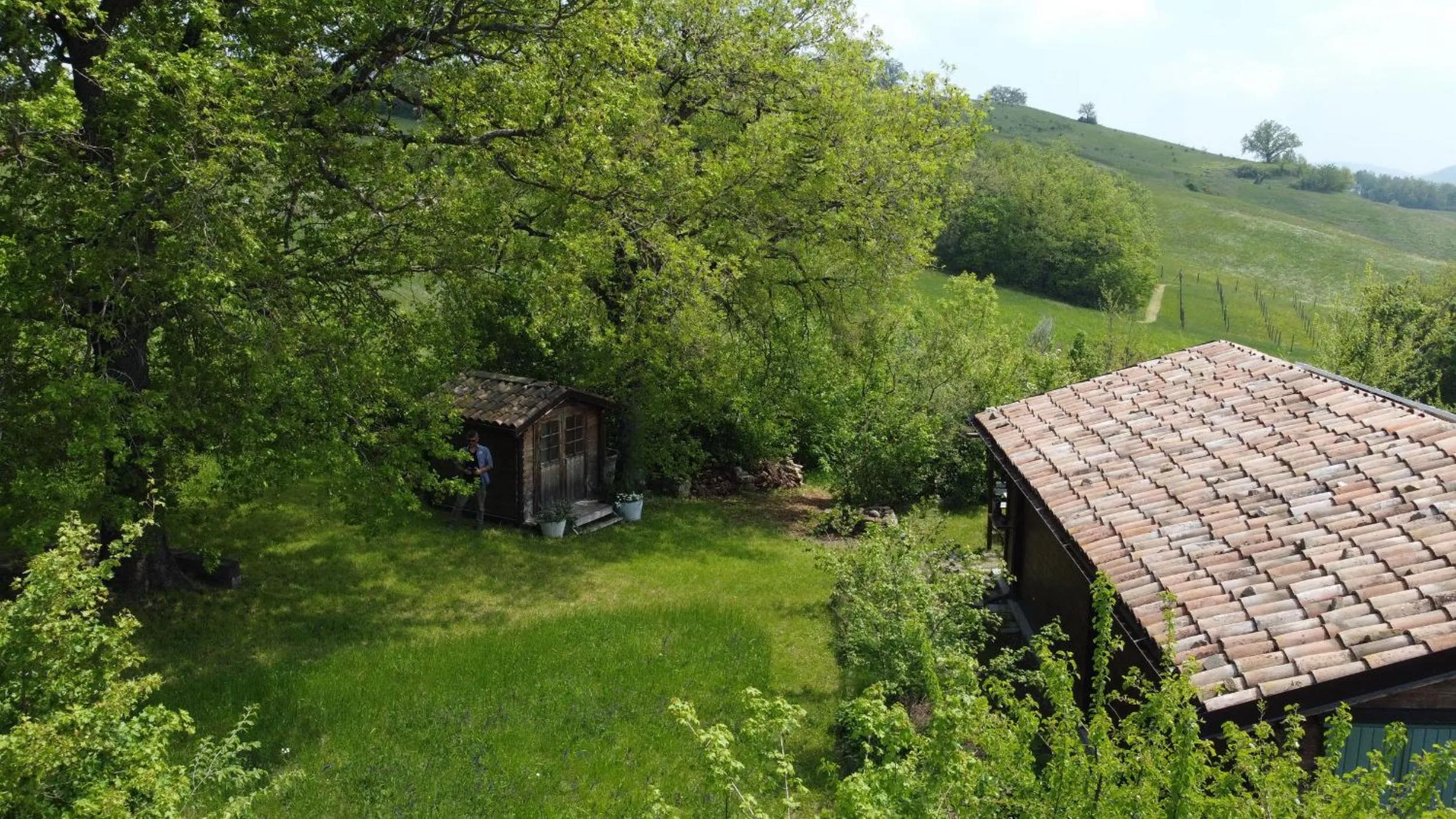 Natural landscape in Chalet Il Bosco dei Mille Frutti