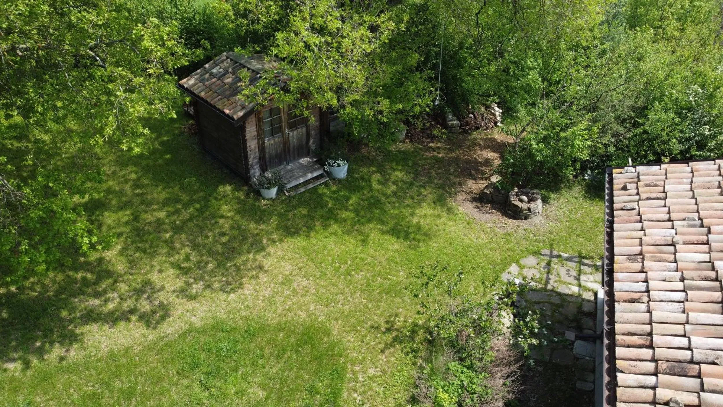 Natural landscape in Chalet Il Bosco dei Mille Frutti