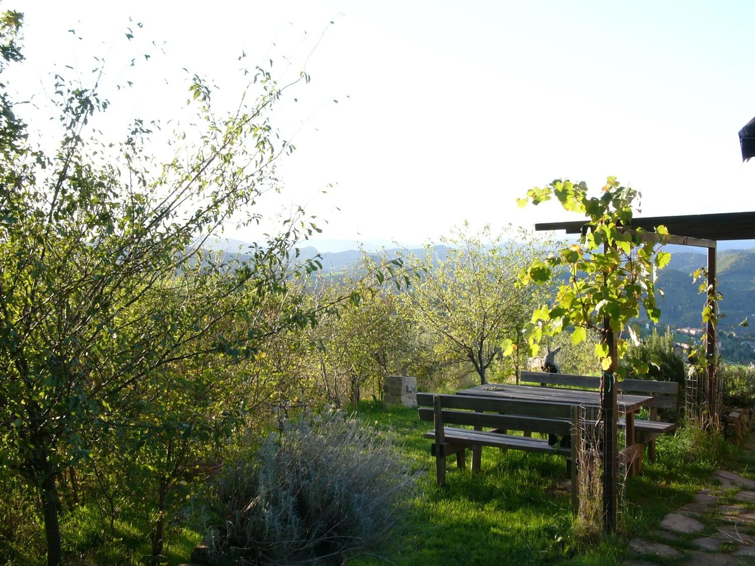 Facade/entrance in Chalet Il Bosco dei Mille Frutti