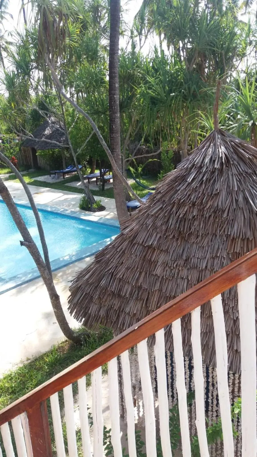 Garden in Laguna Palace Zanzibar