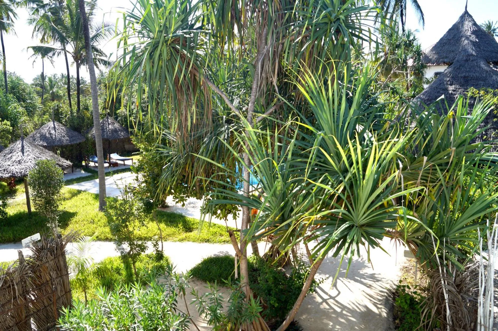 Garden in Laguna Palace Zanzibar