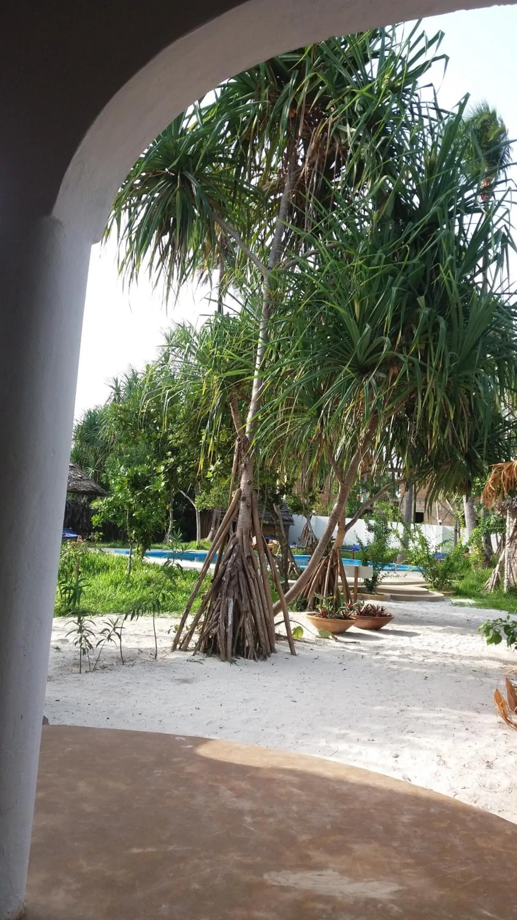 Swimming pool in Laguna Palace Zanzibar