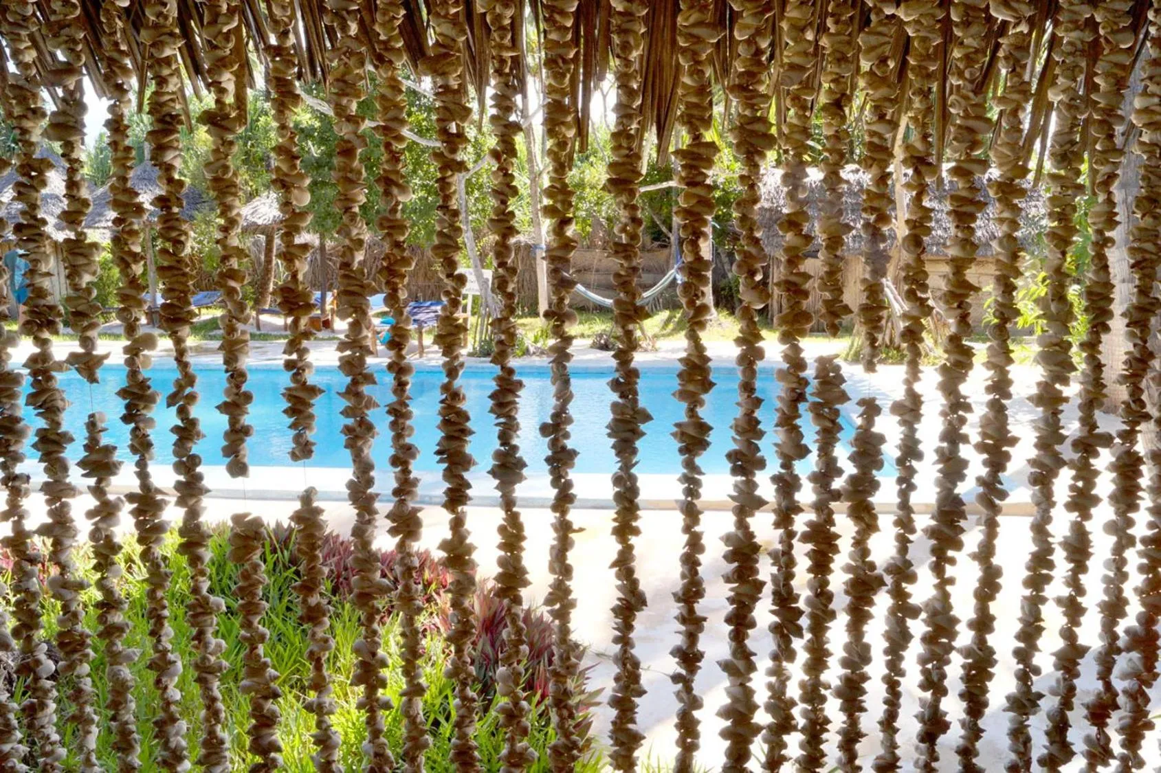 Garden view in Laguna Palace Zanzibar