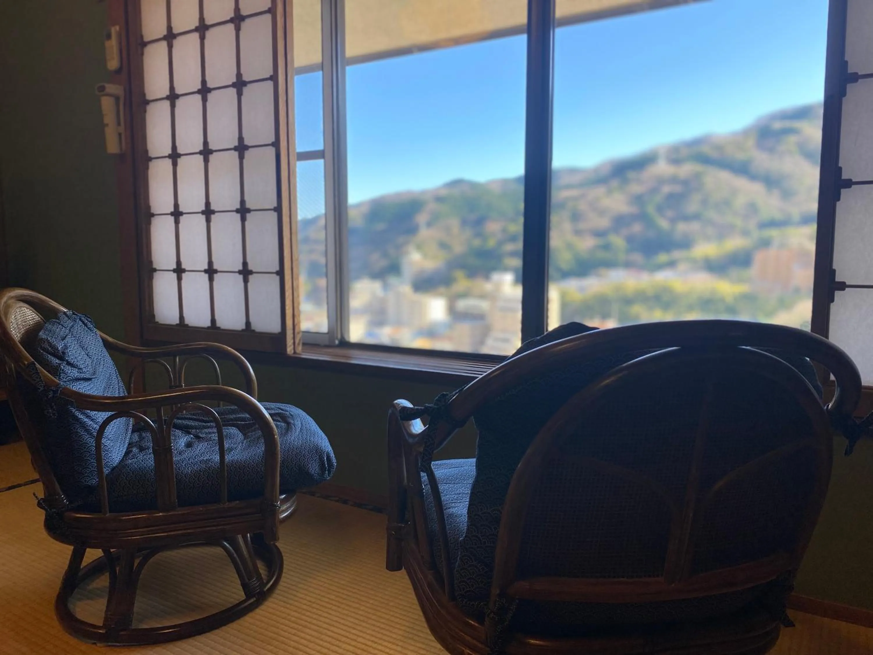 View (from property/room) in Wakamatsu HakoneYugawara