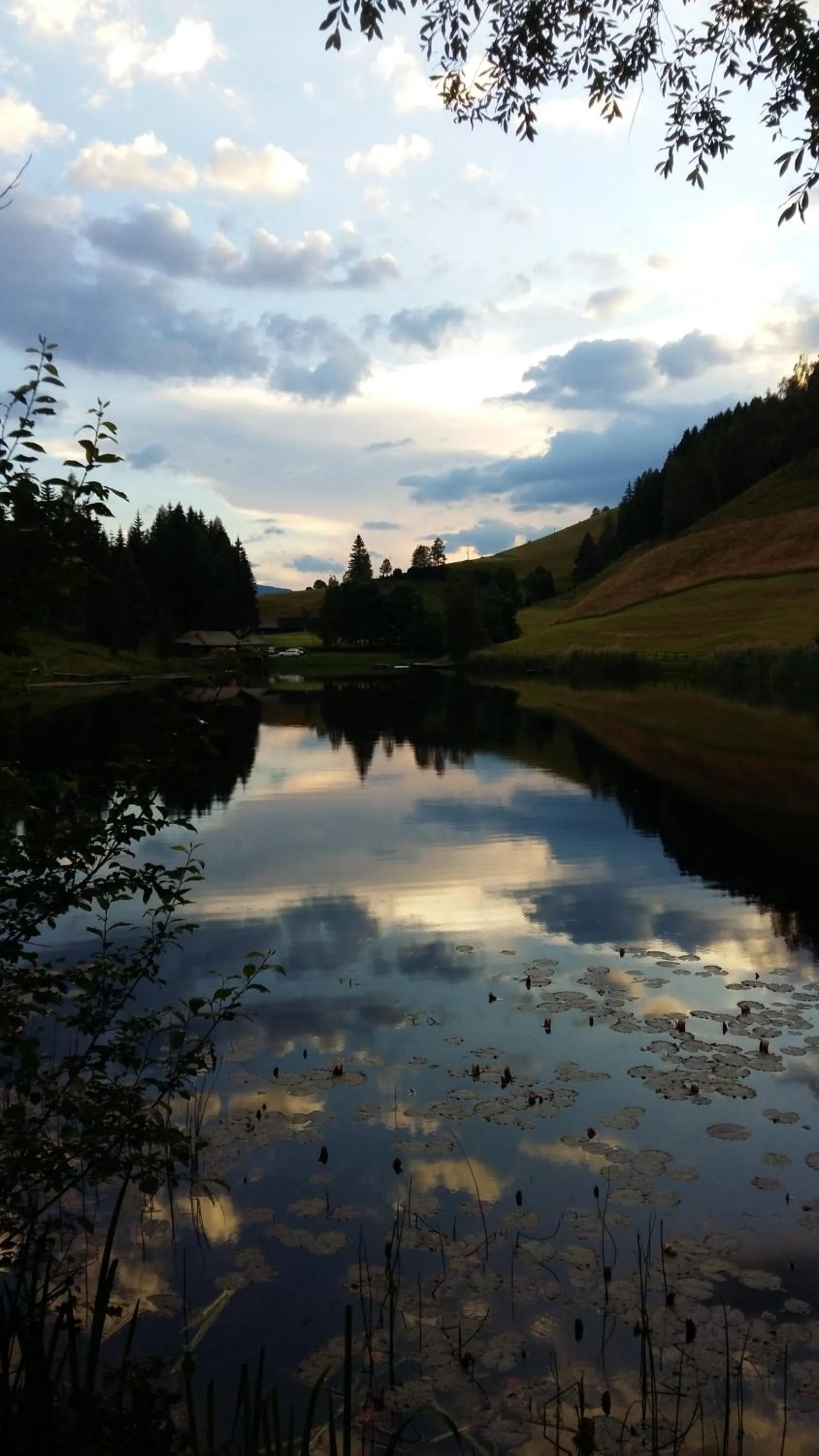 Beach in Hotel Alpin Murau