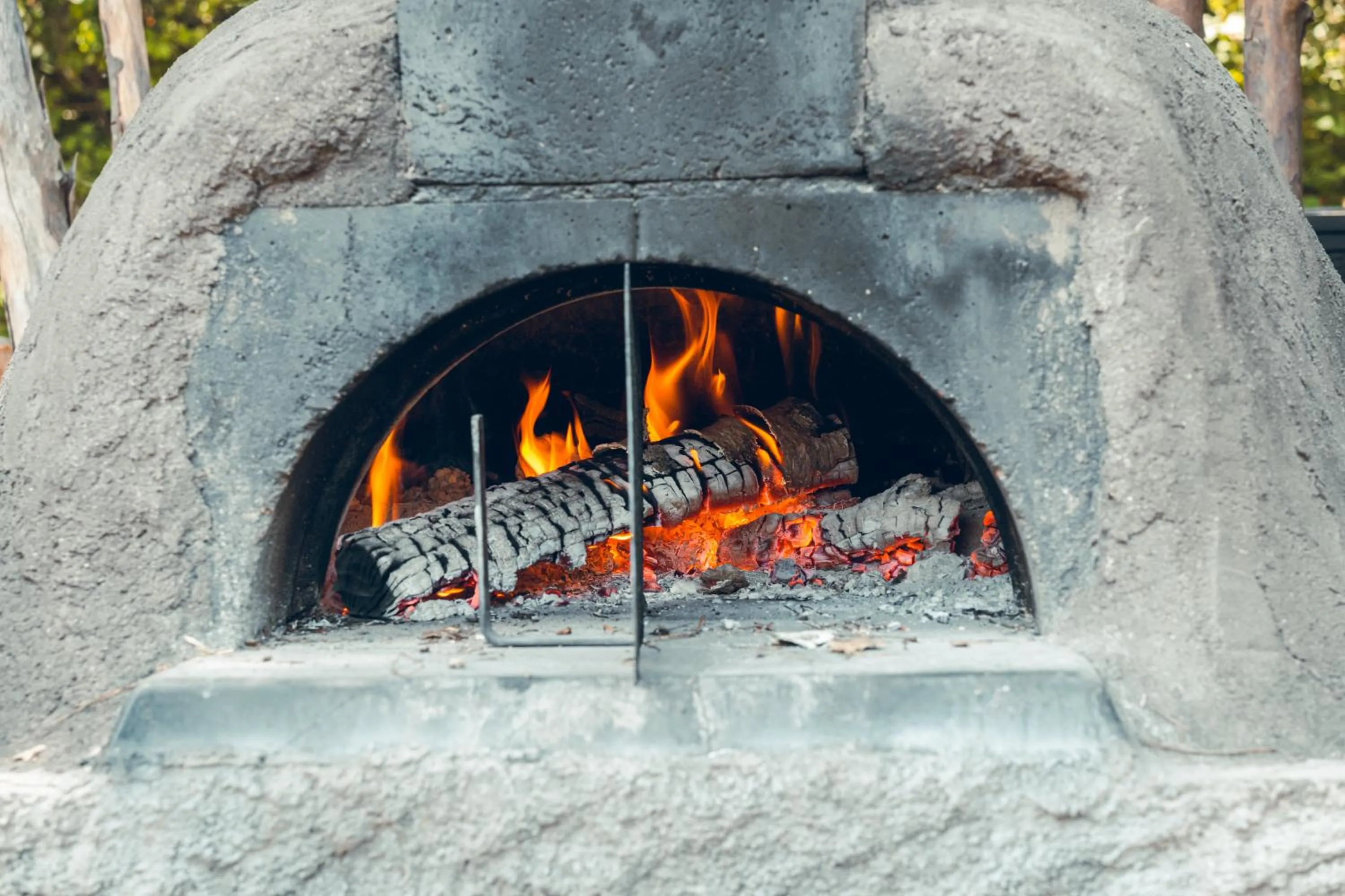 BBQ facilities in Logis Hôtel La Magnanerie - Côté Bistro