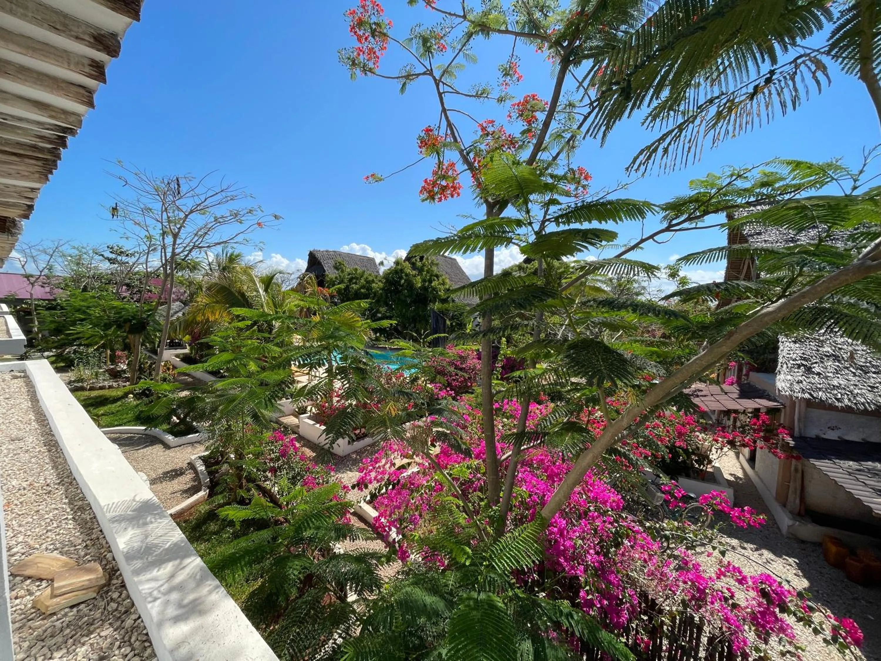 Garden in Breeze Residence
